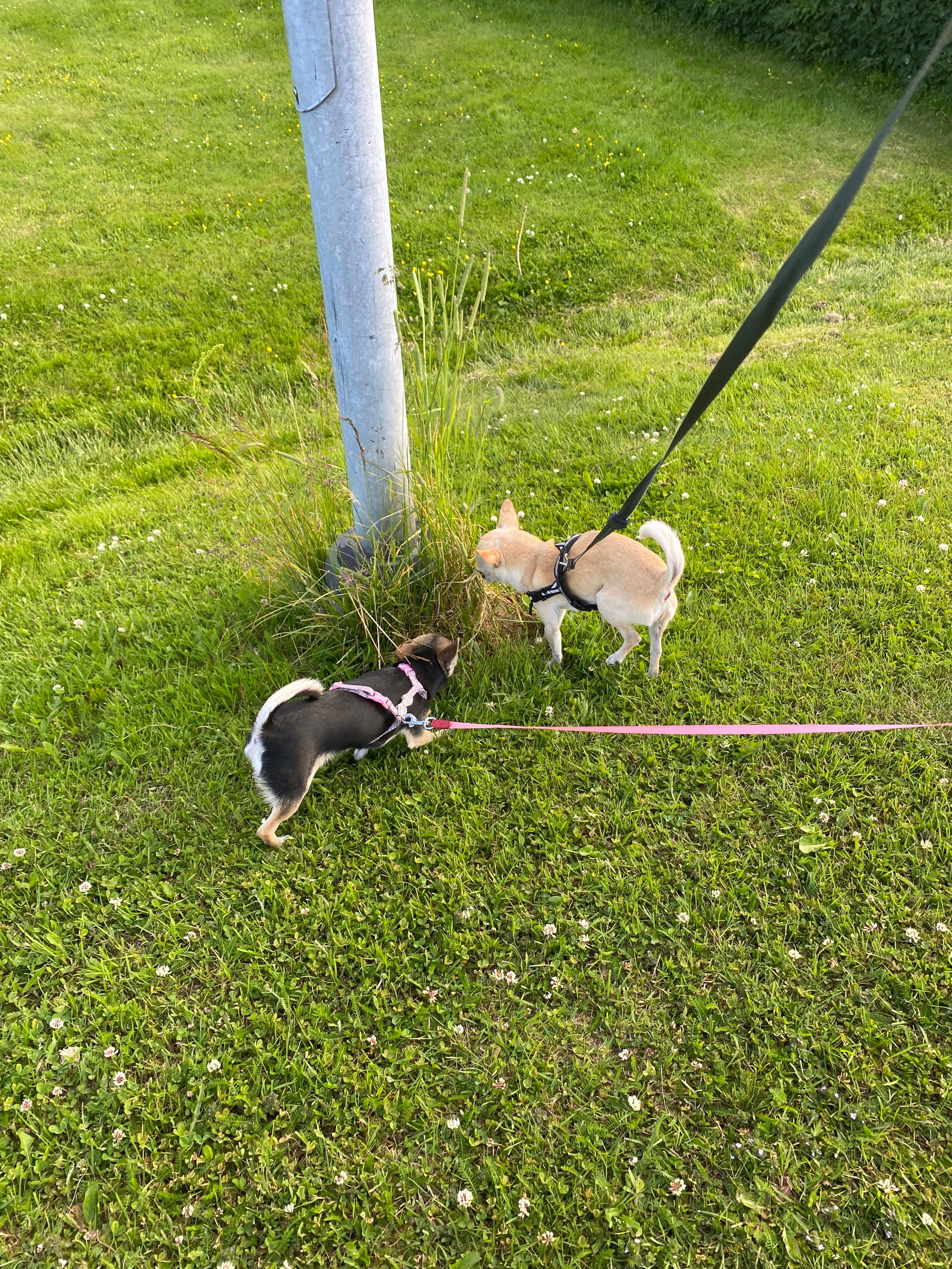 image-12