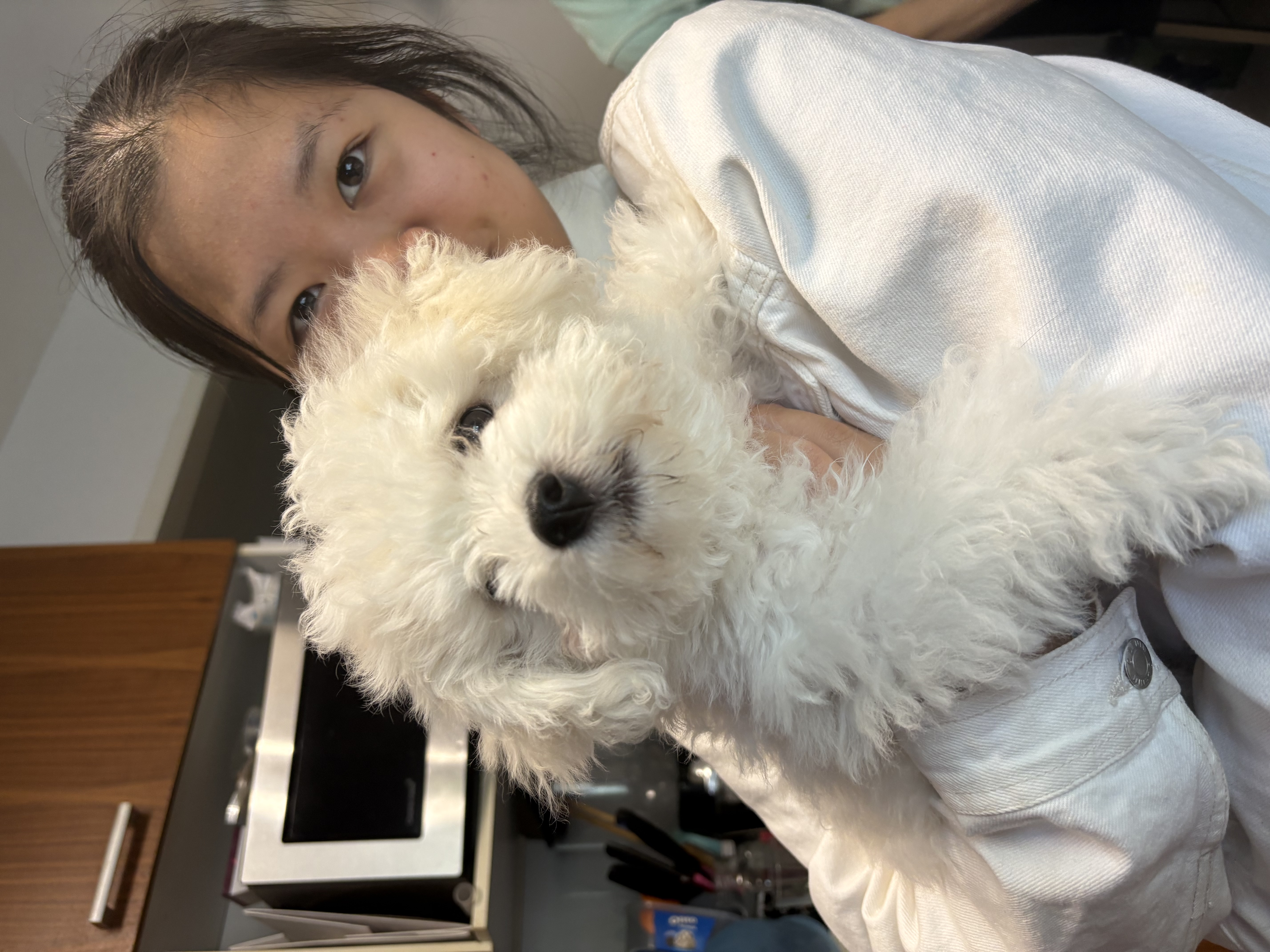 image-6