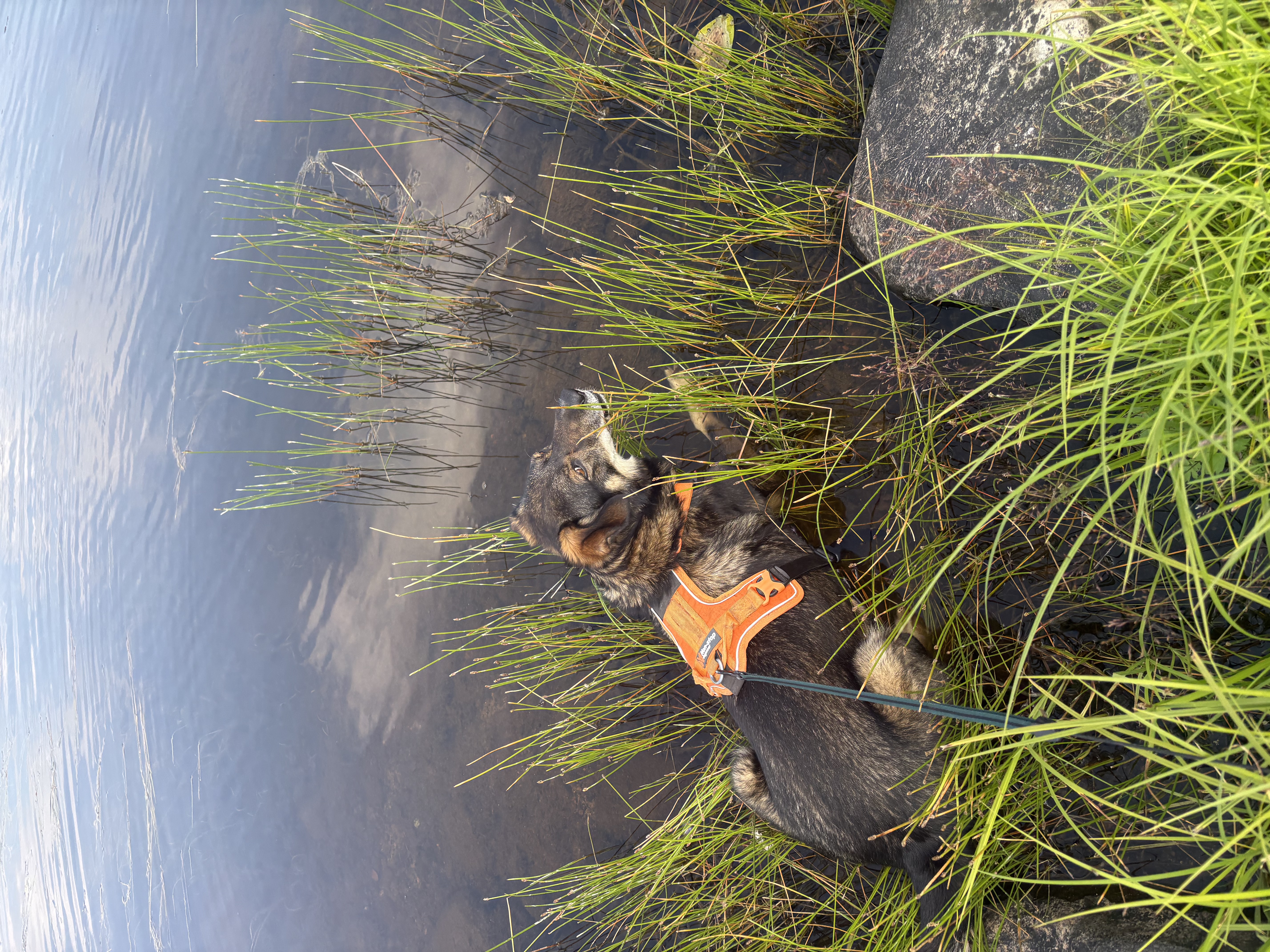 image-5