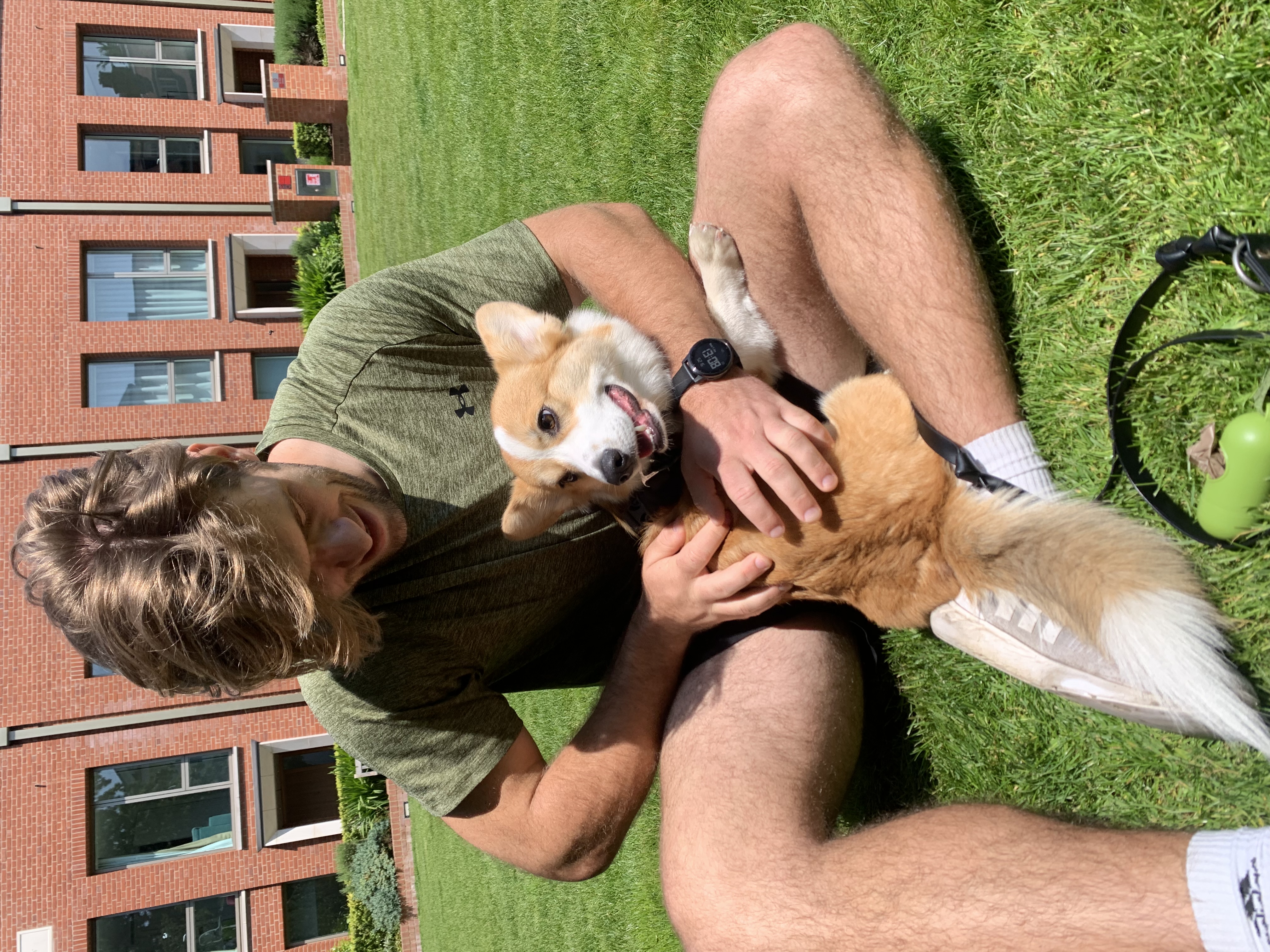 image-6