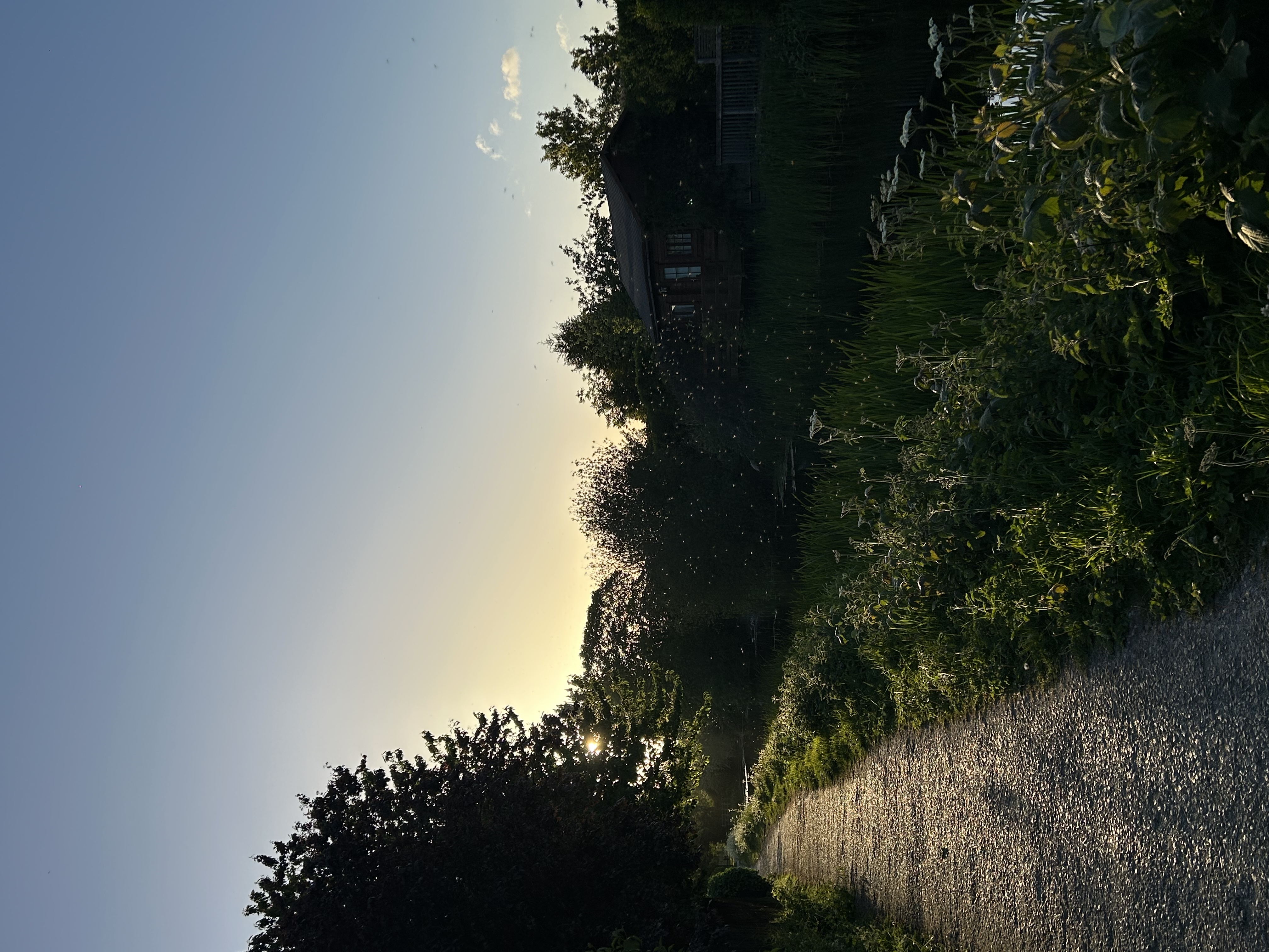 image-10