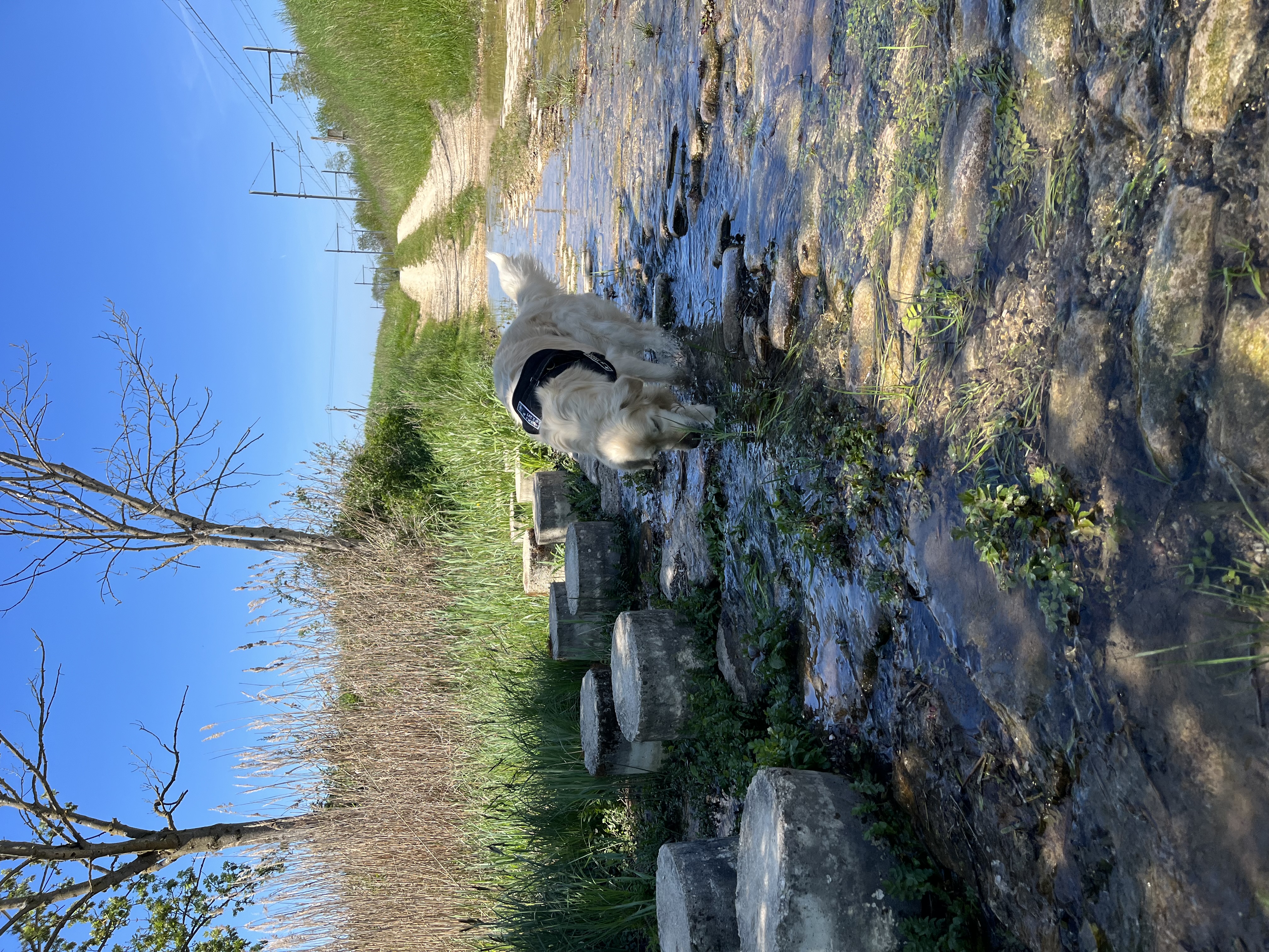 image-9