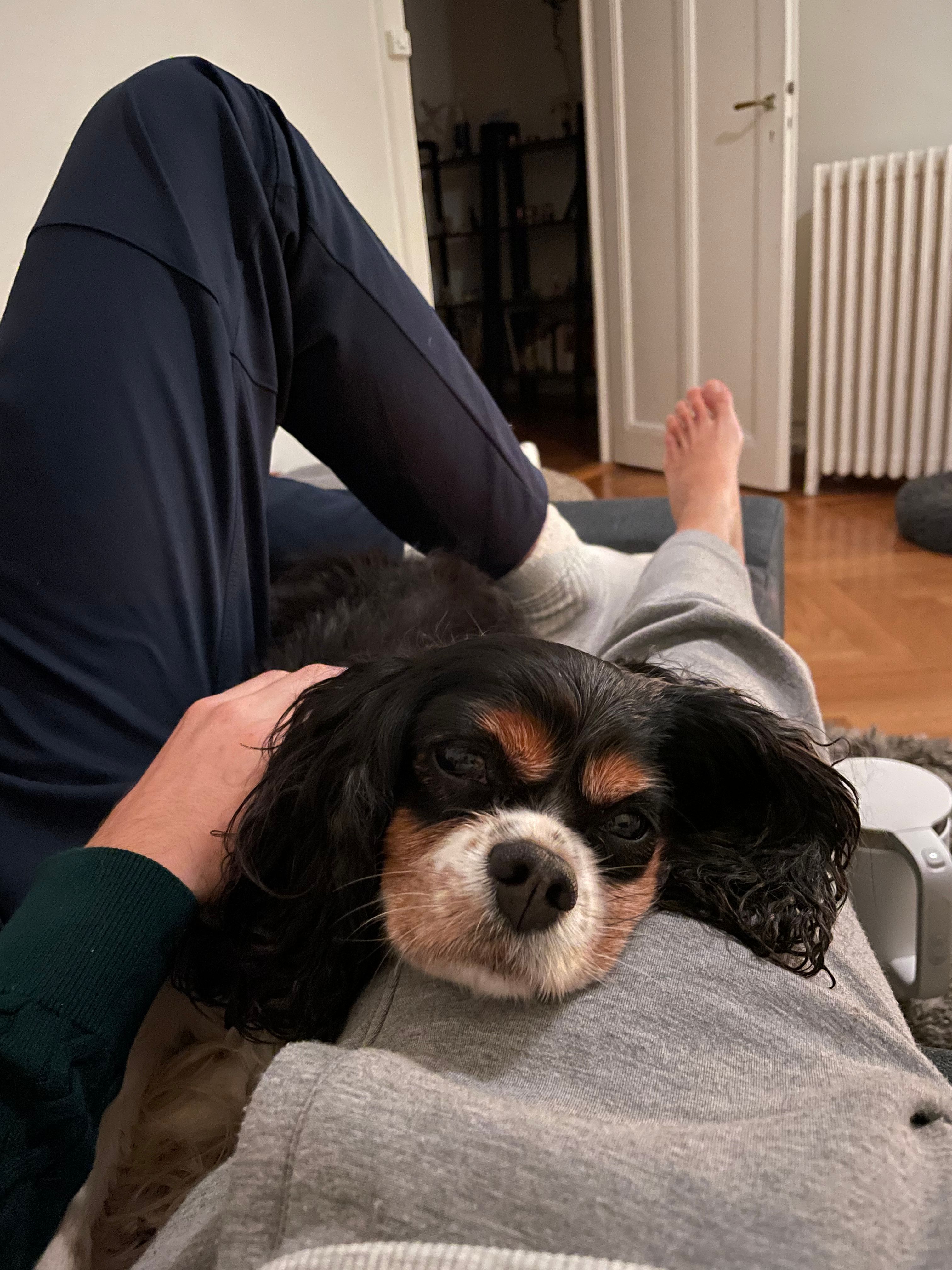 image-9