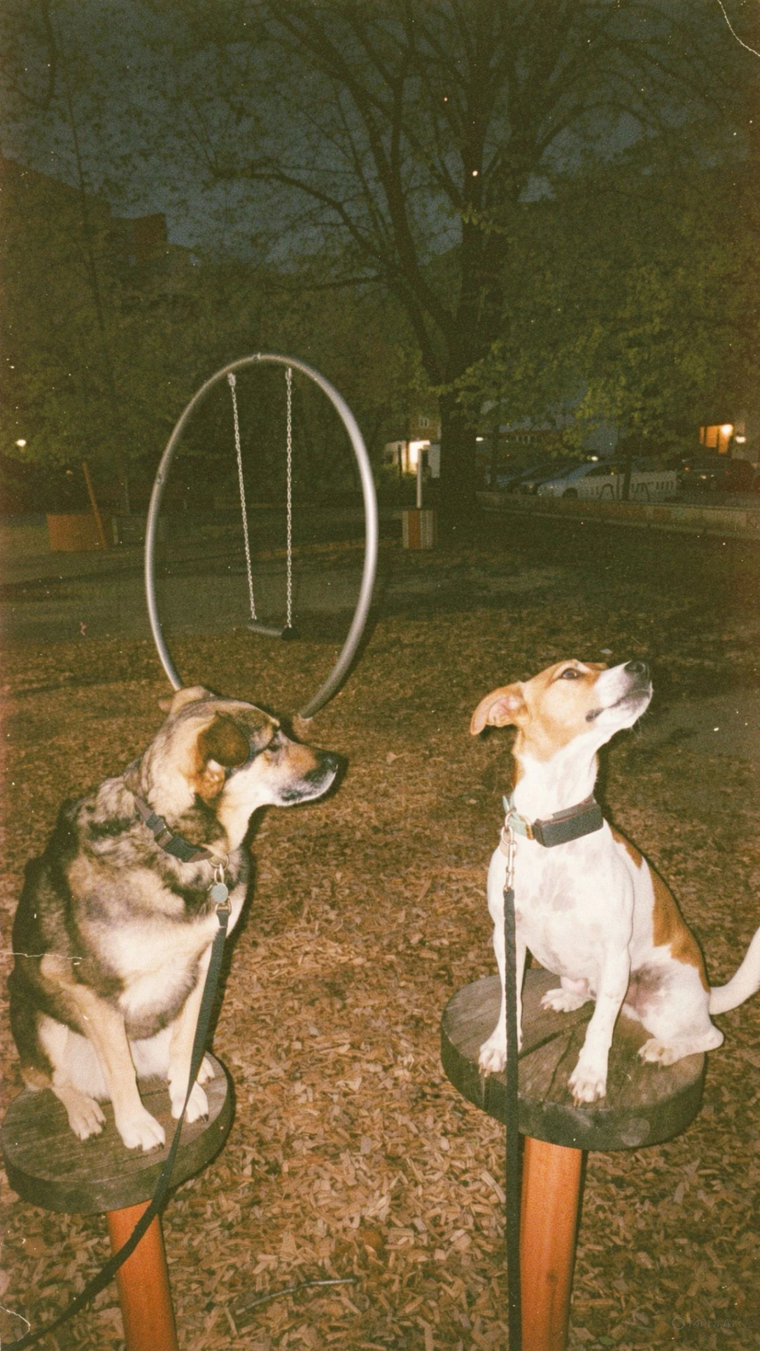 image-21