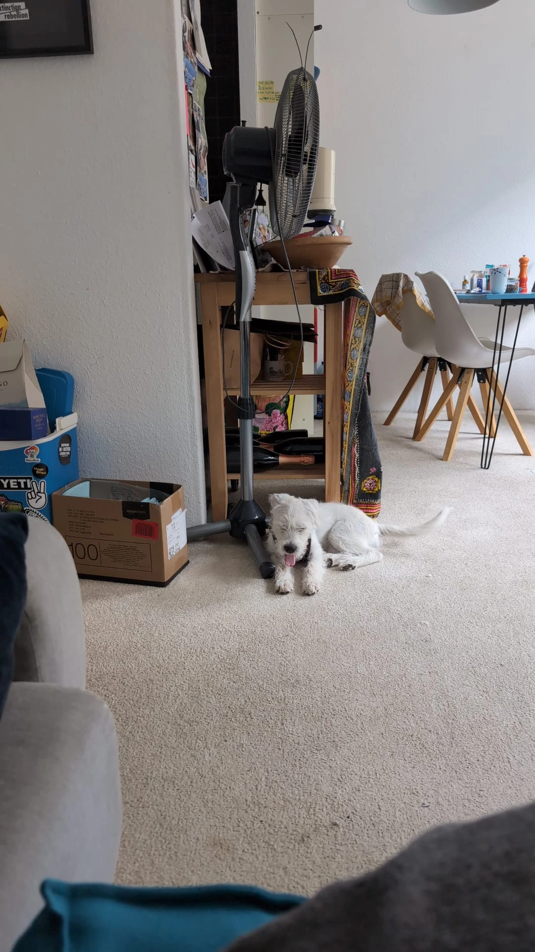 image-46