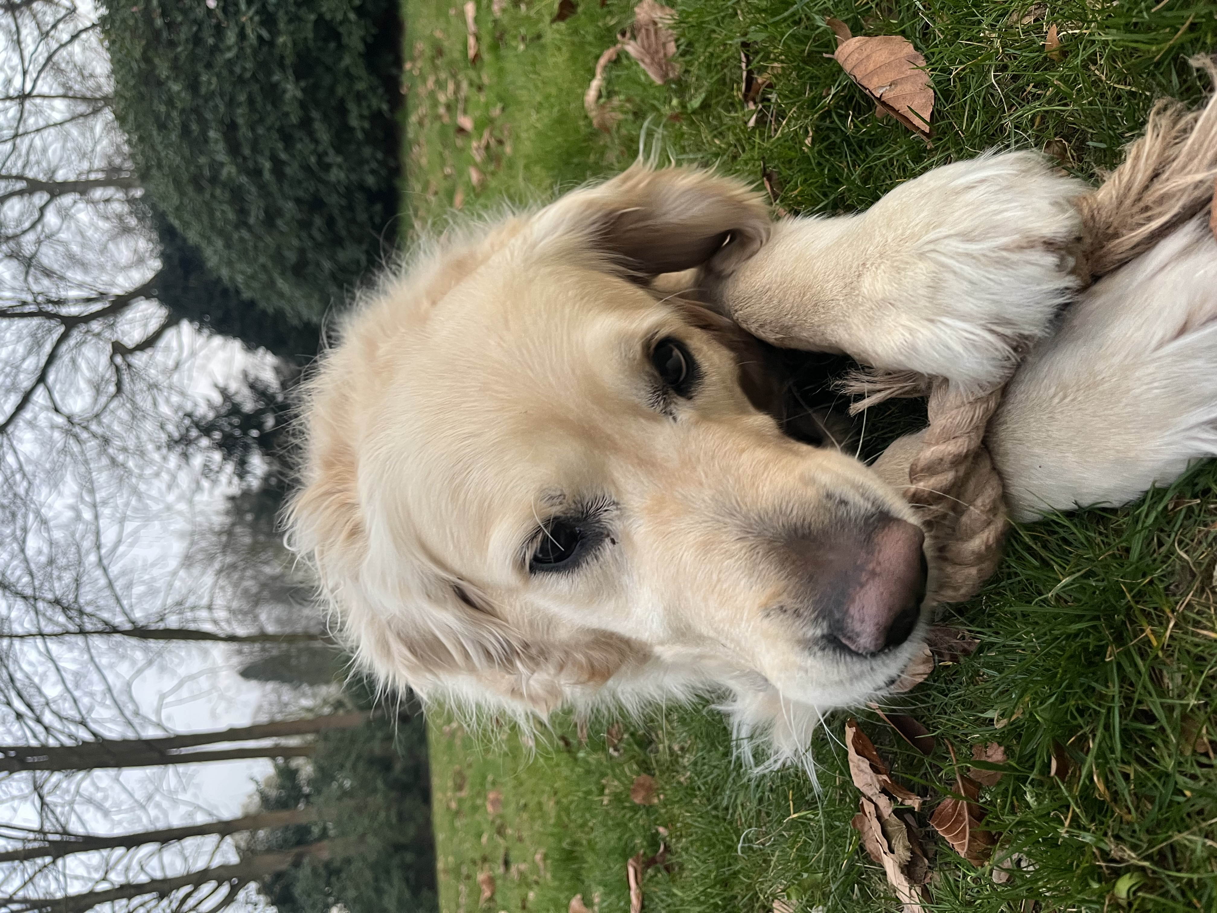 image-3