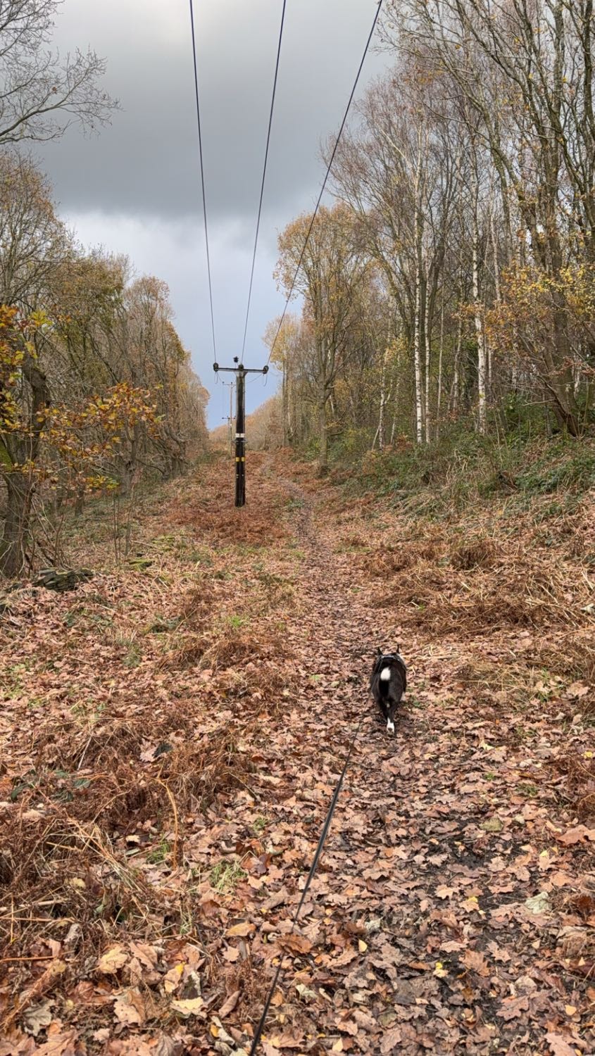 image-13
