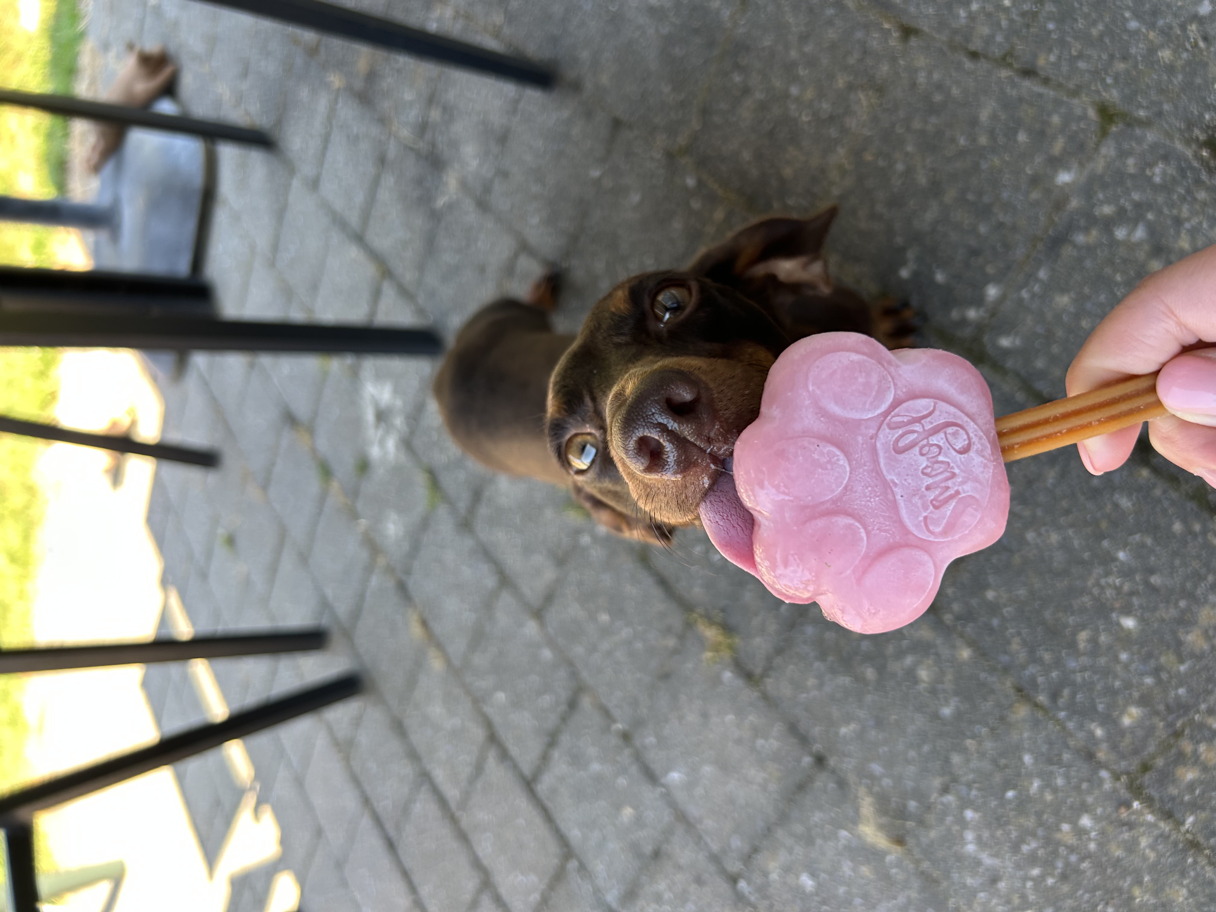 image-6