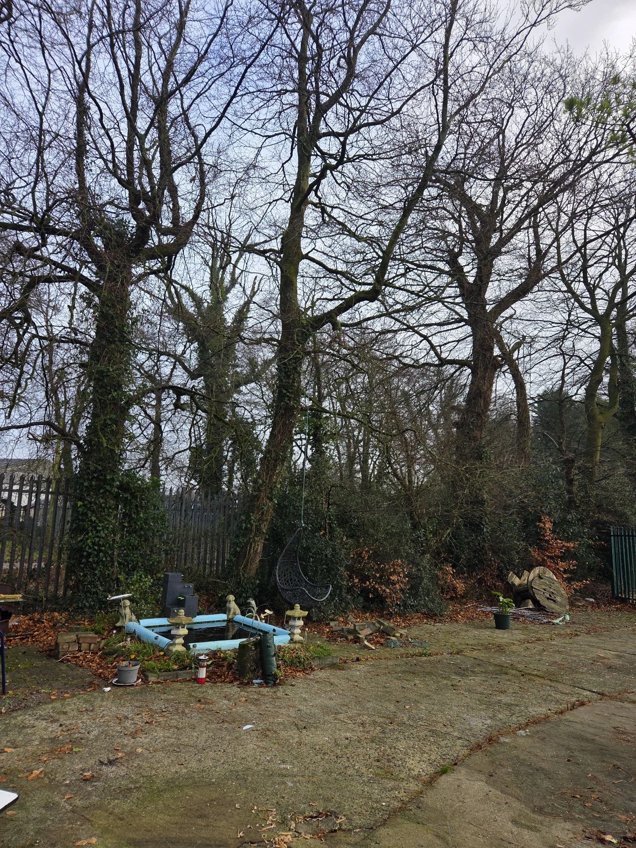 image-15