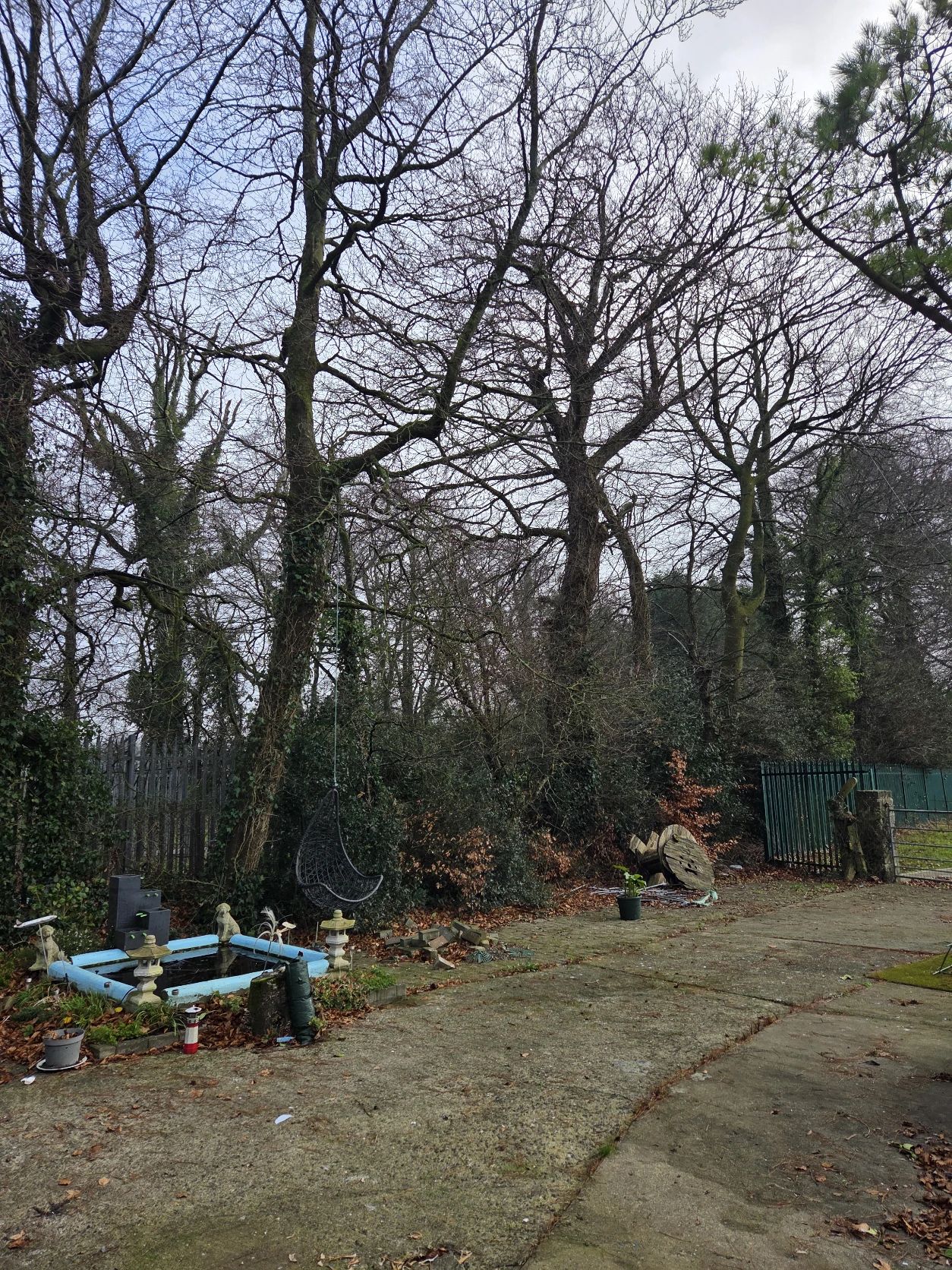 image-16