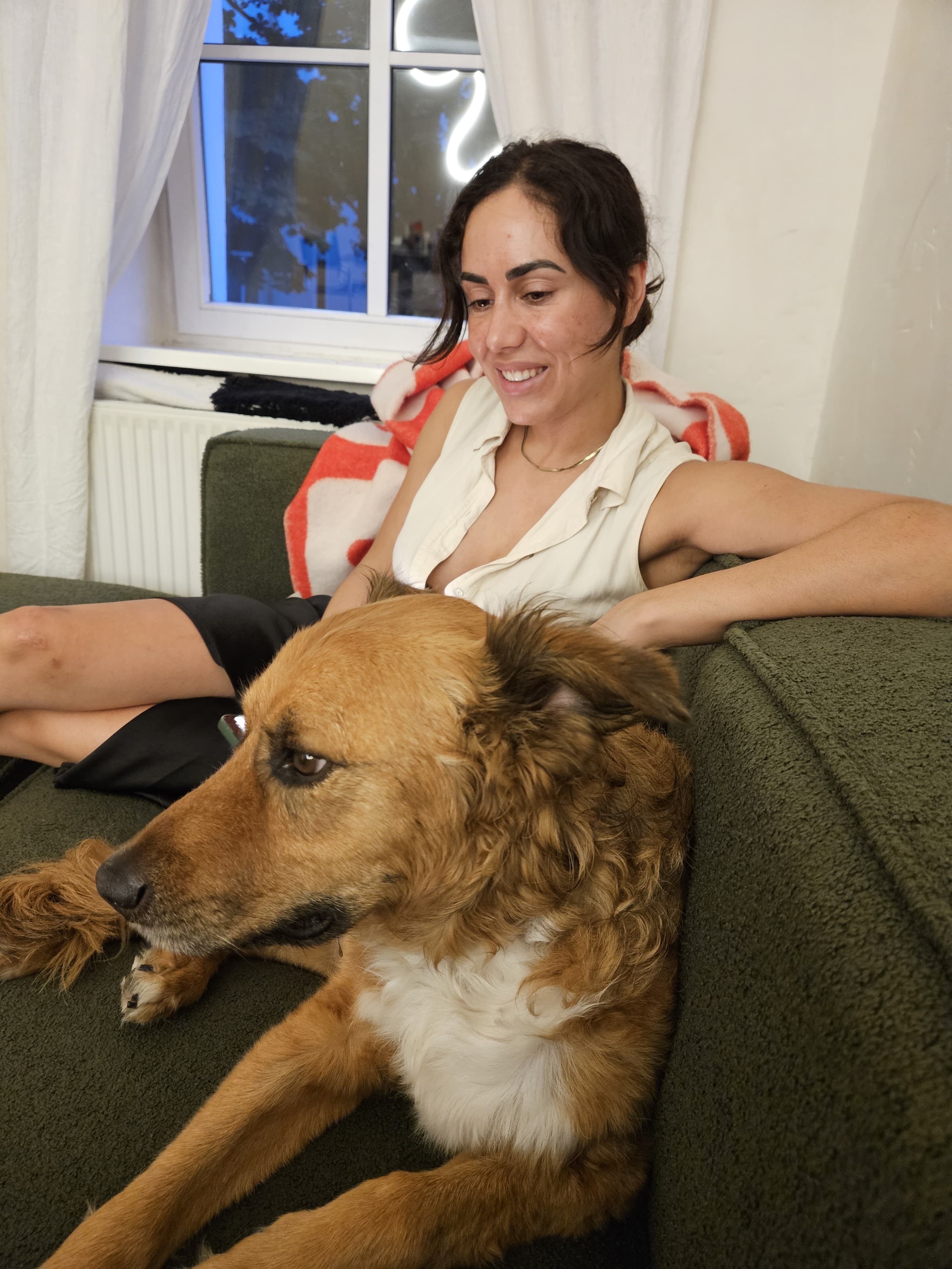 image-8