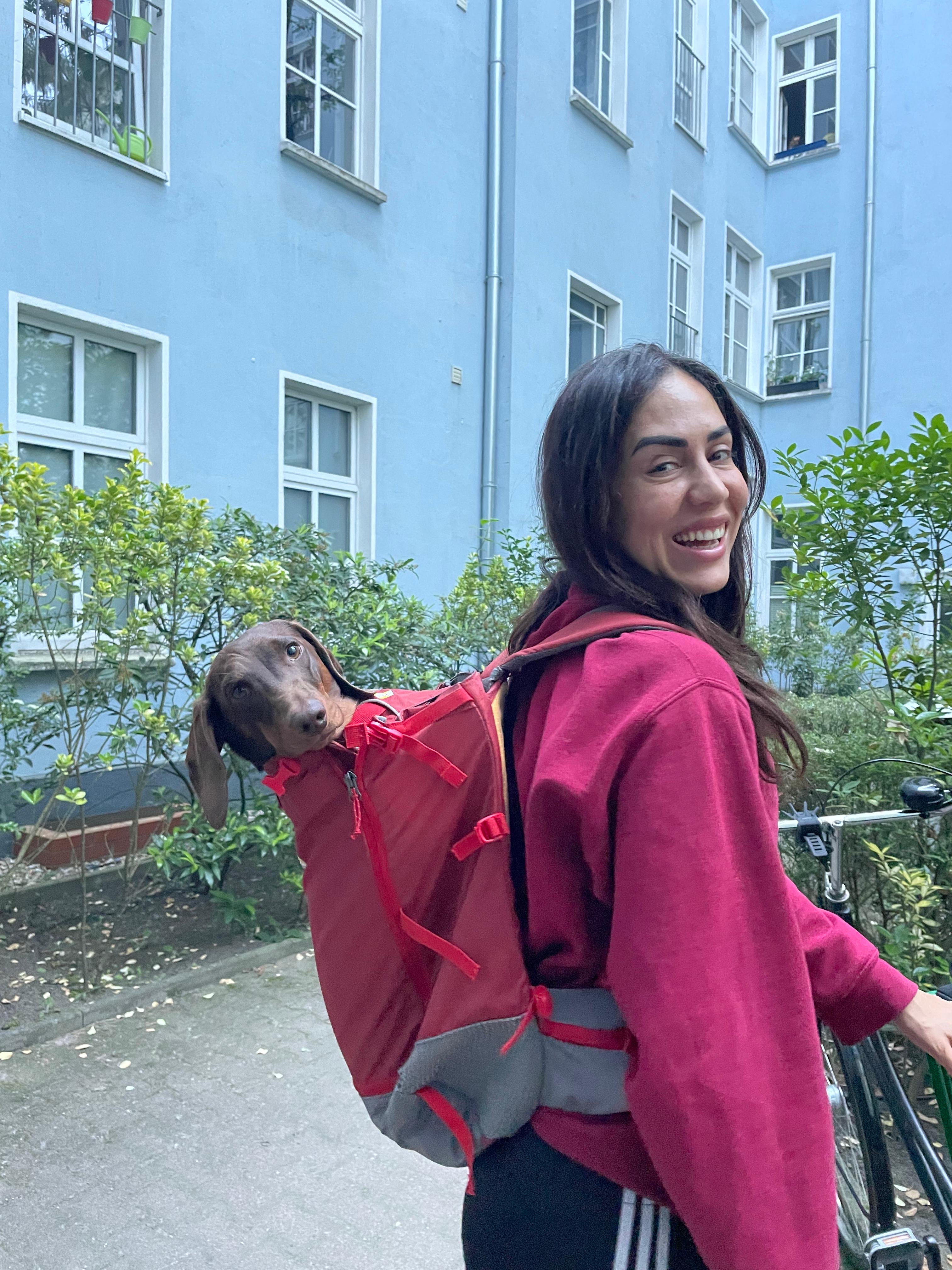 image-11