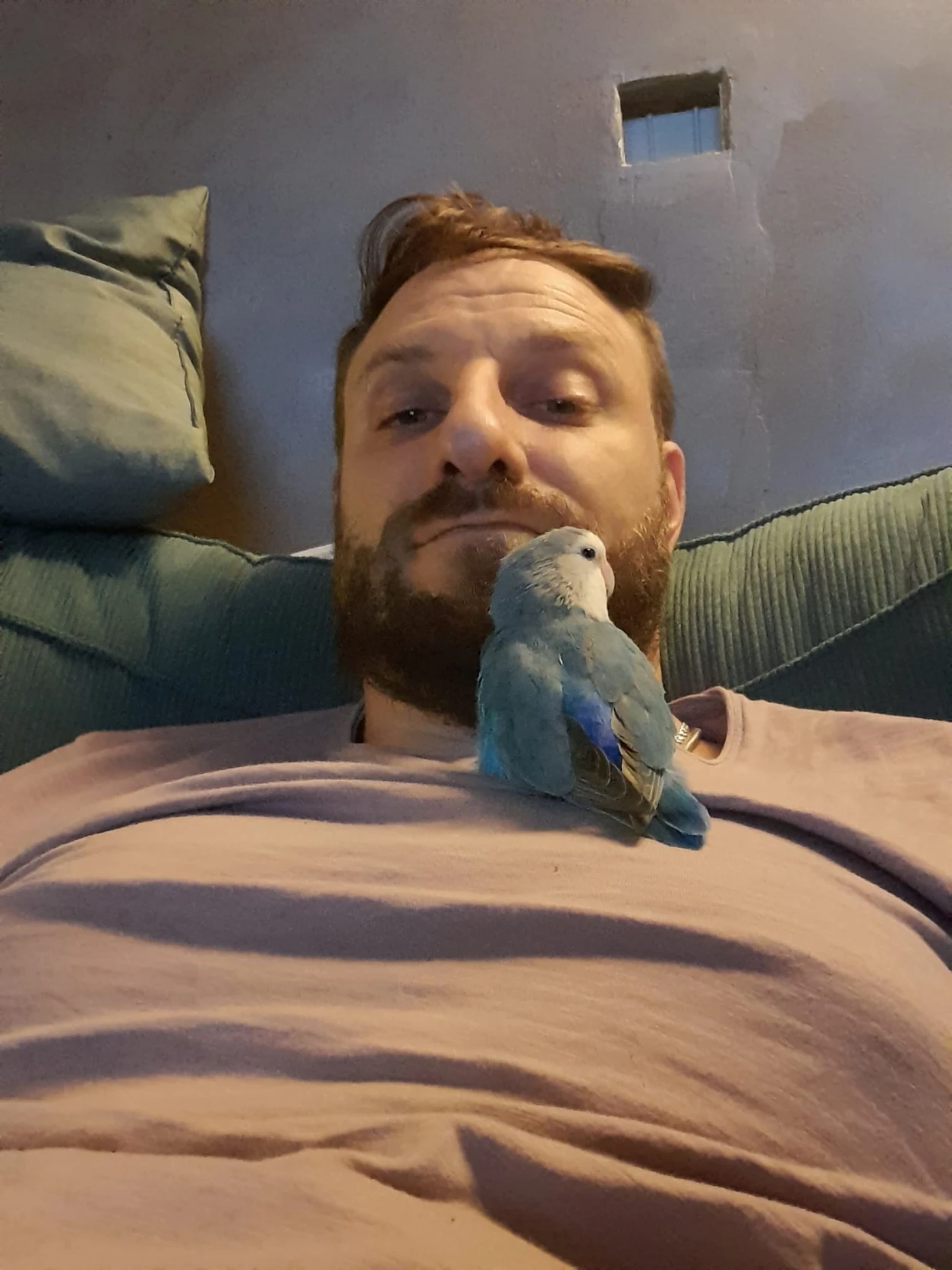 image-8
