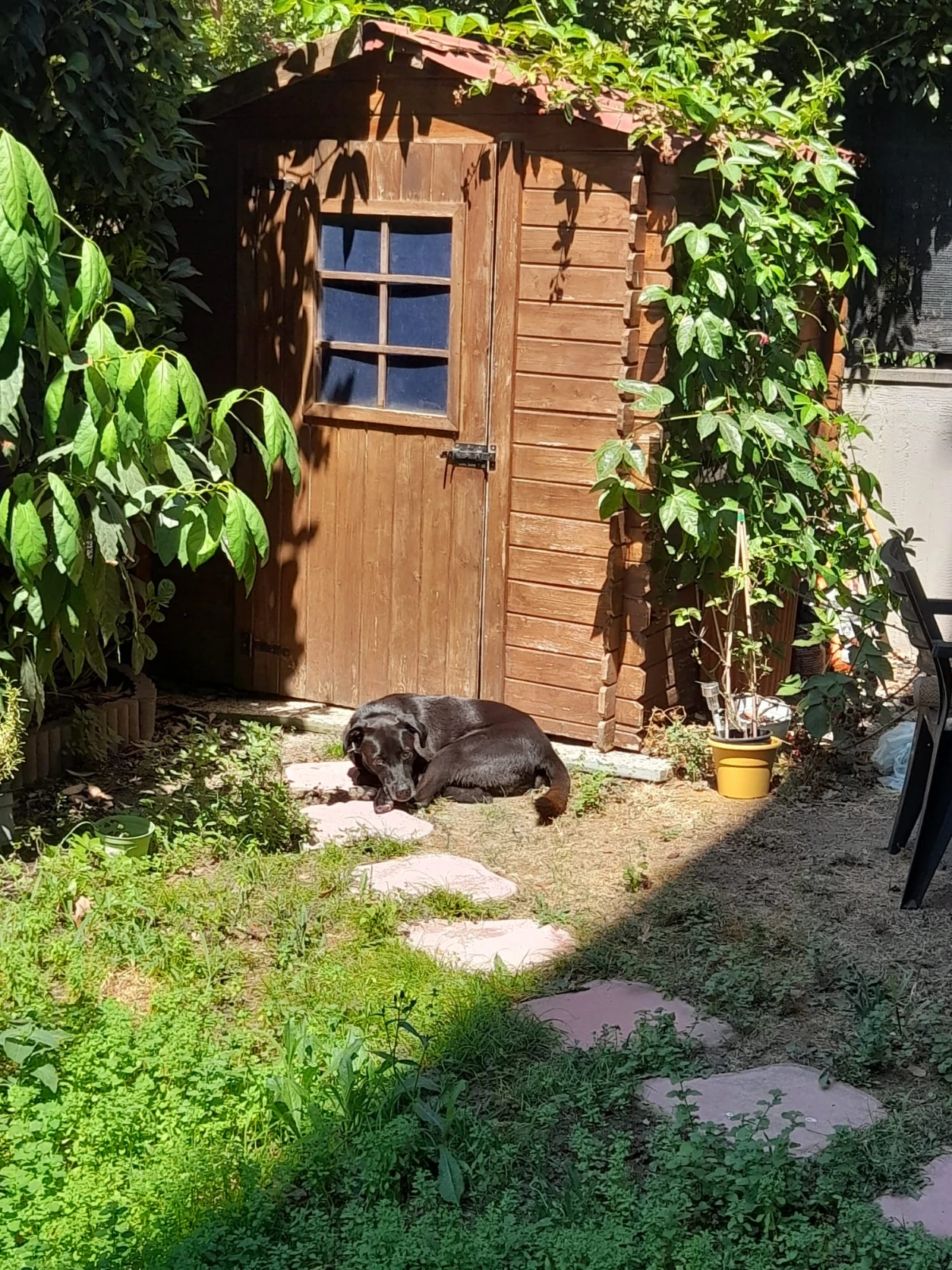 image-11