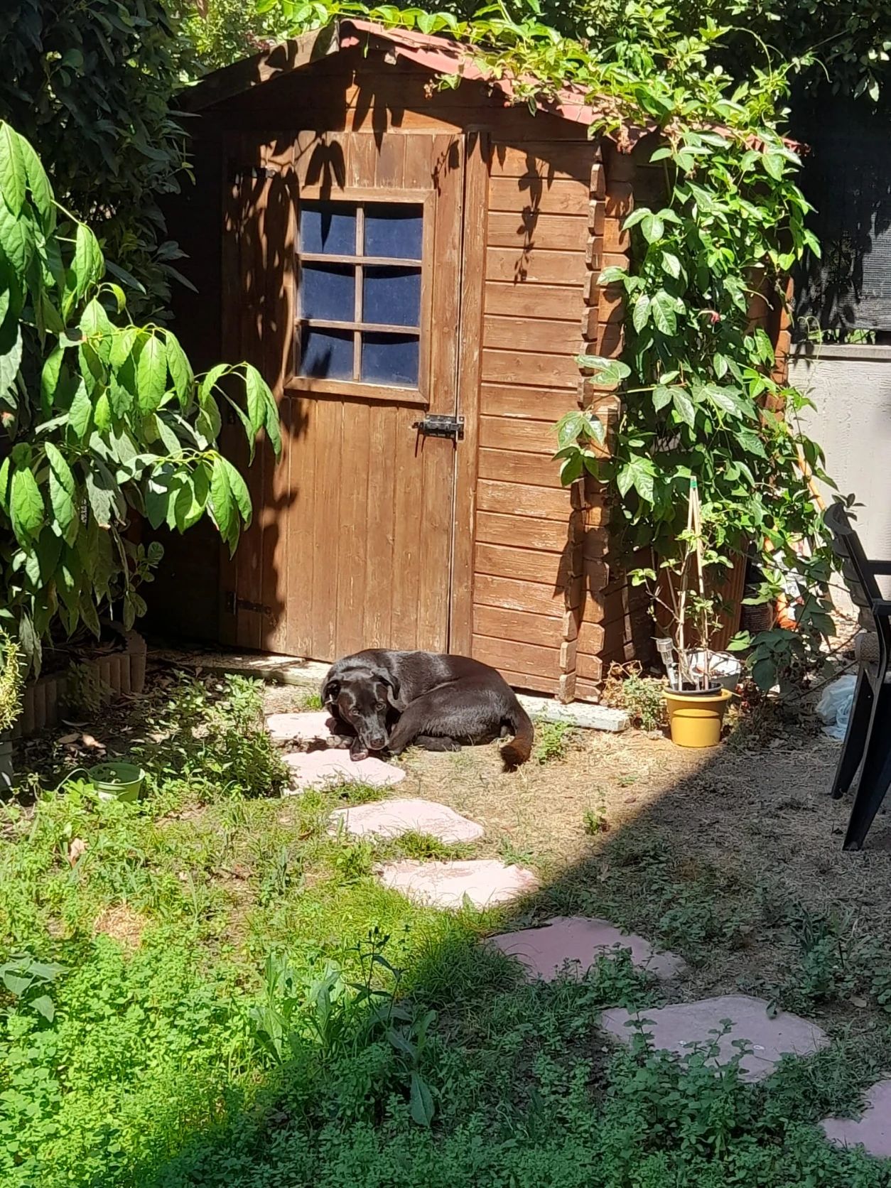image-11