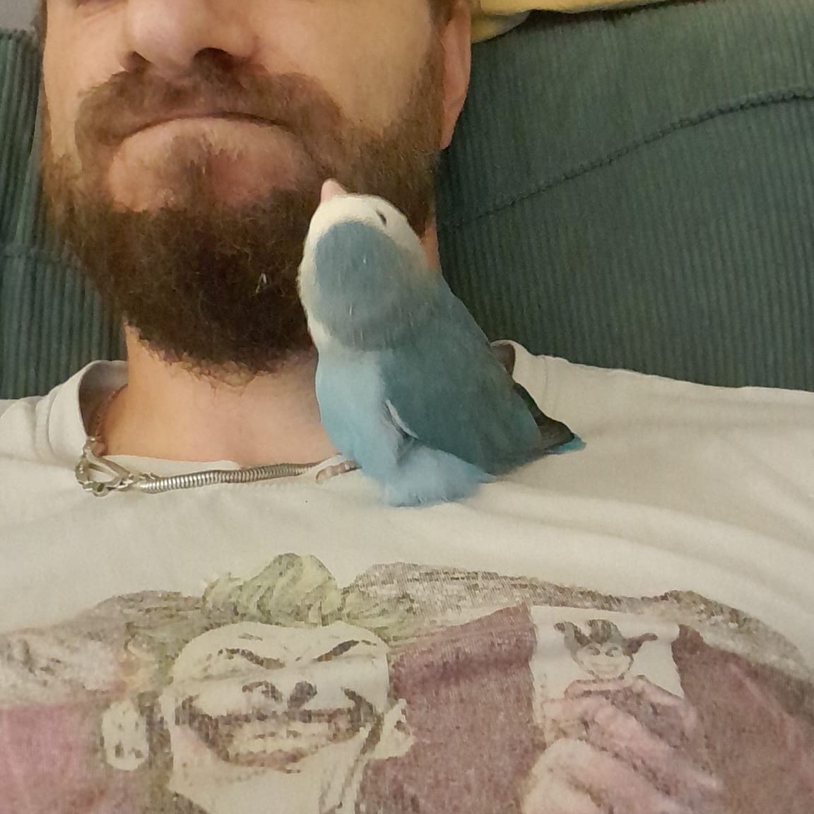 Chucky