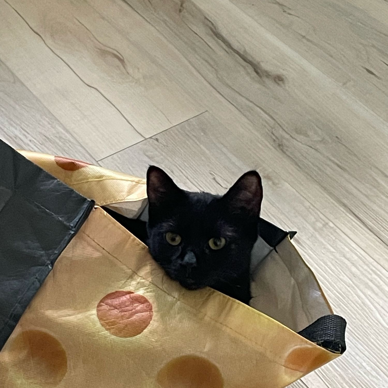 Luna