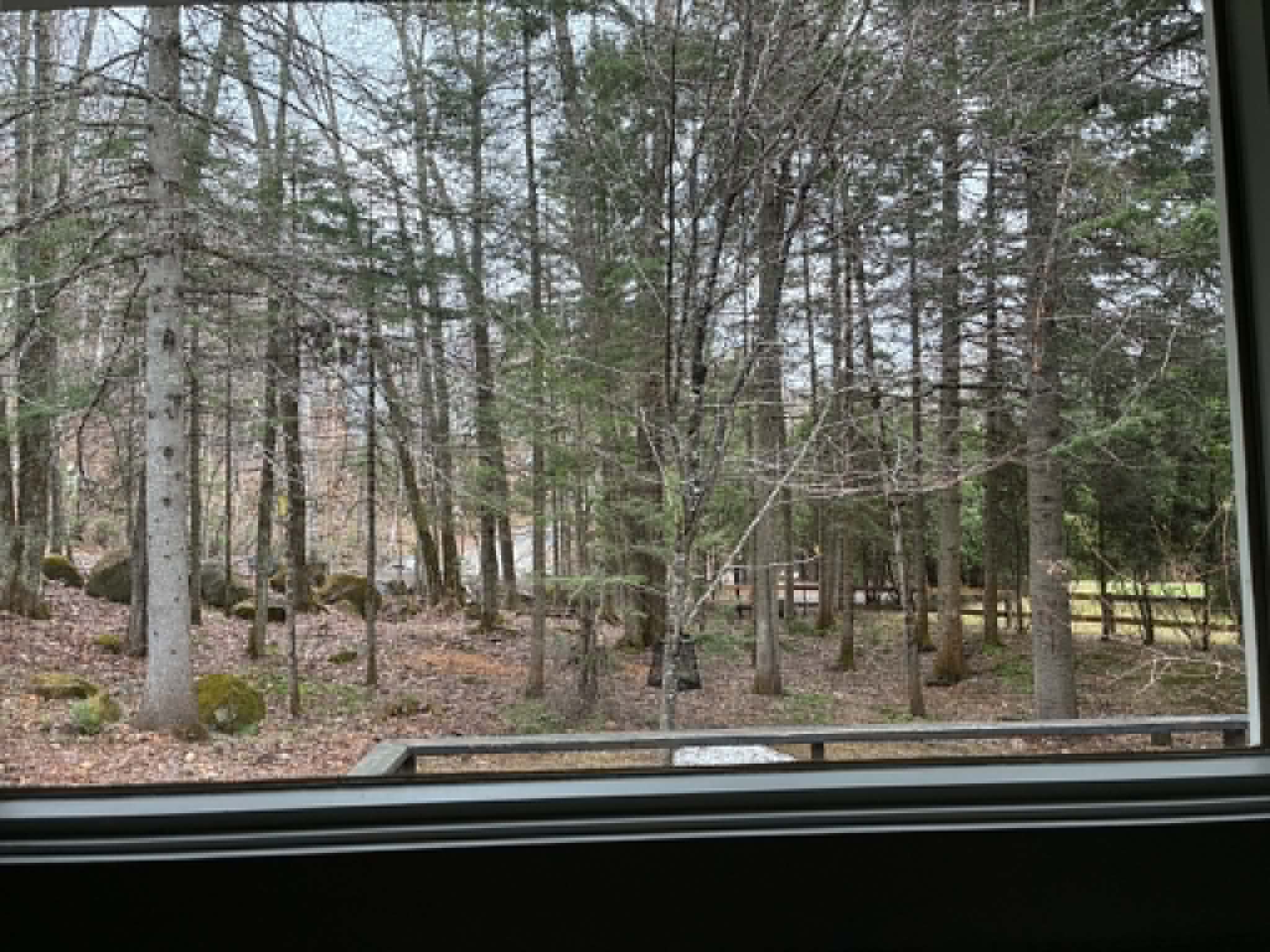 image-17