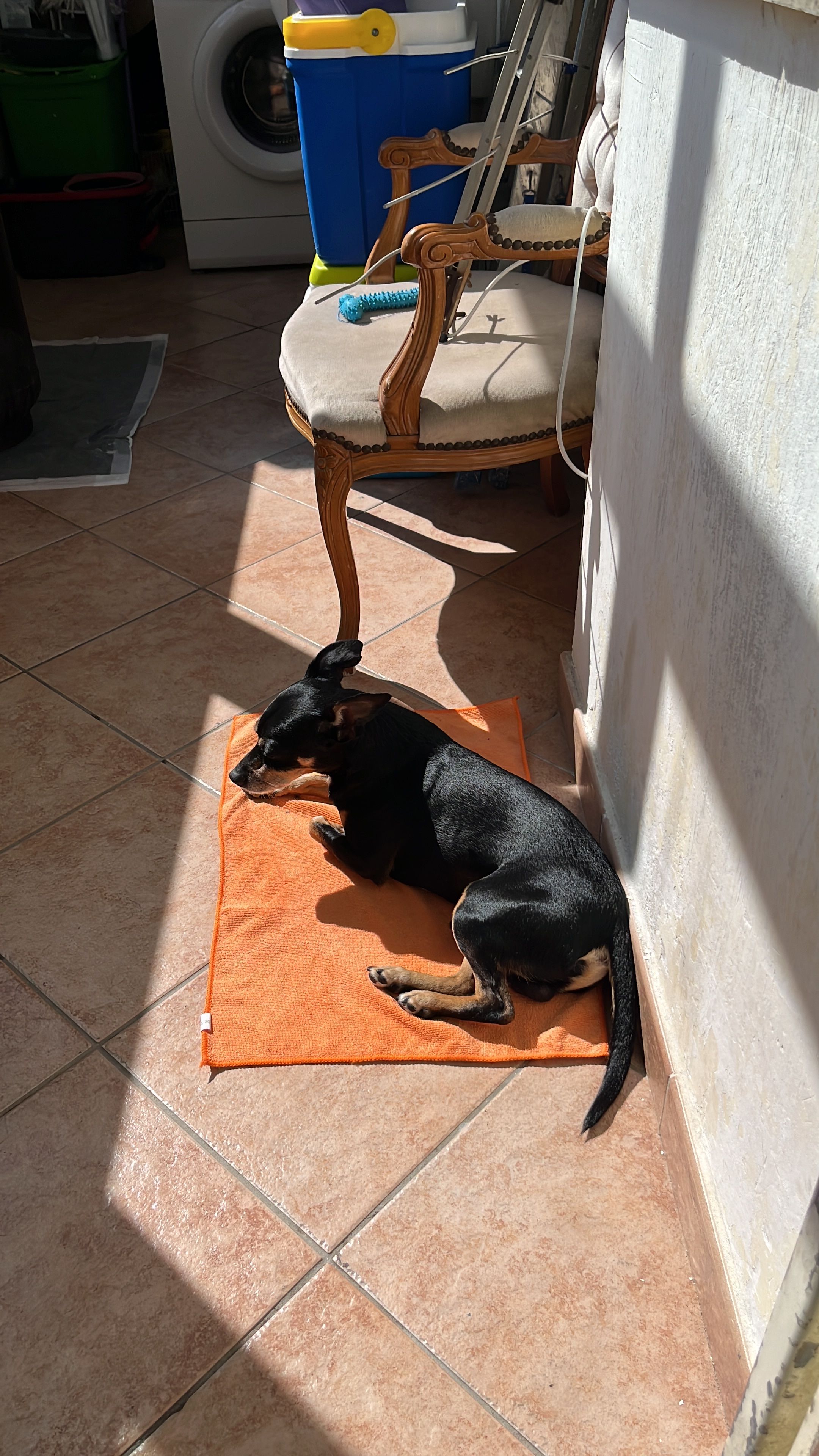 image-19