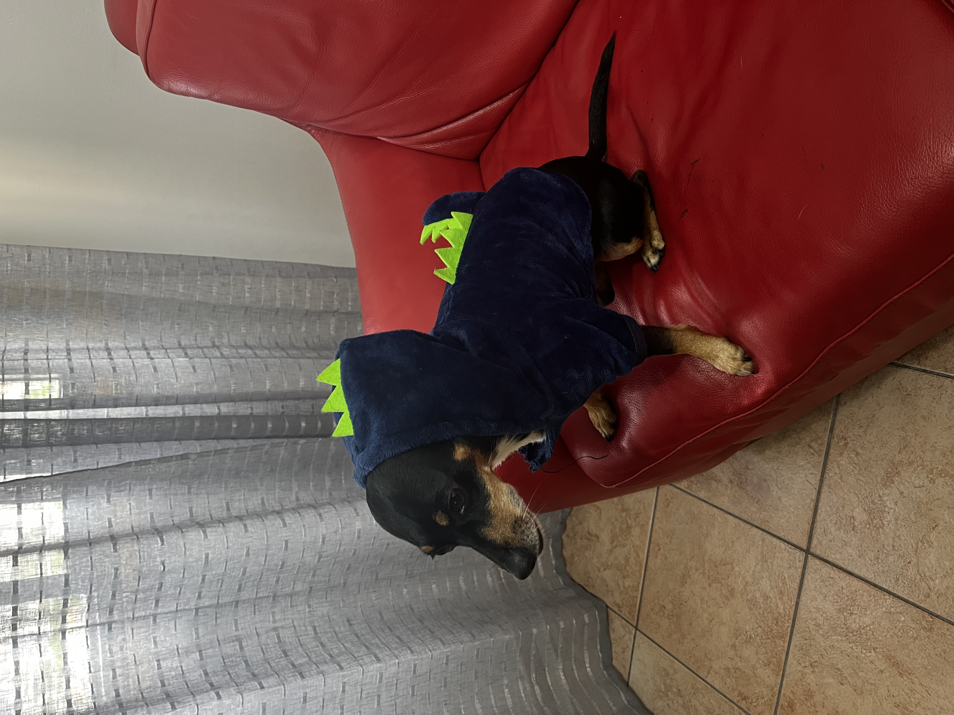 image-18