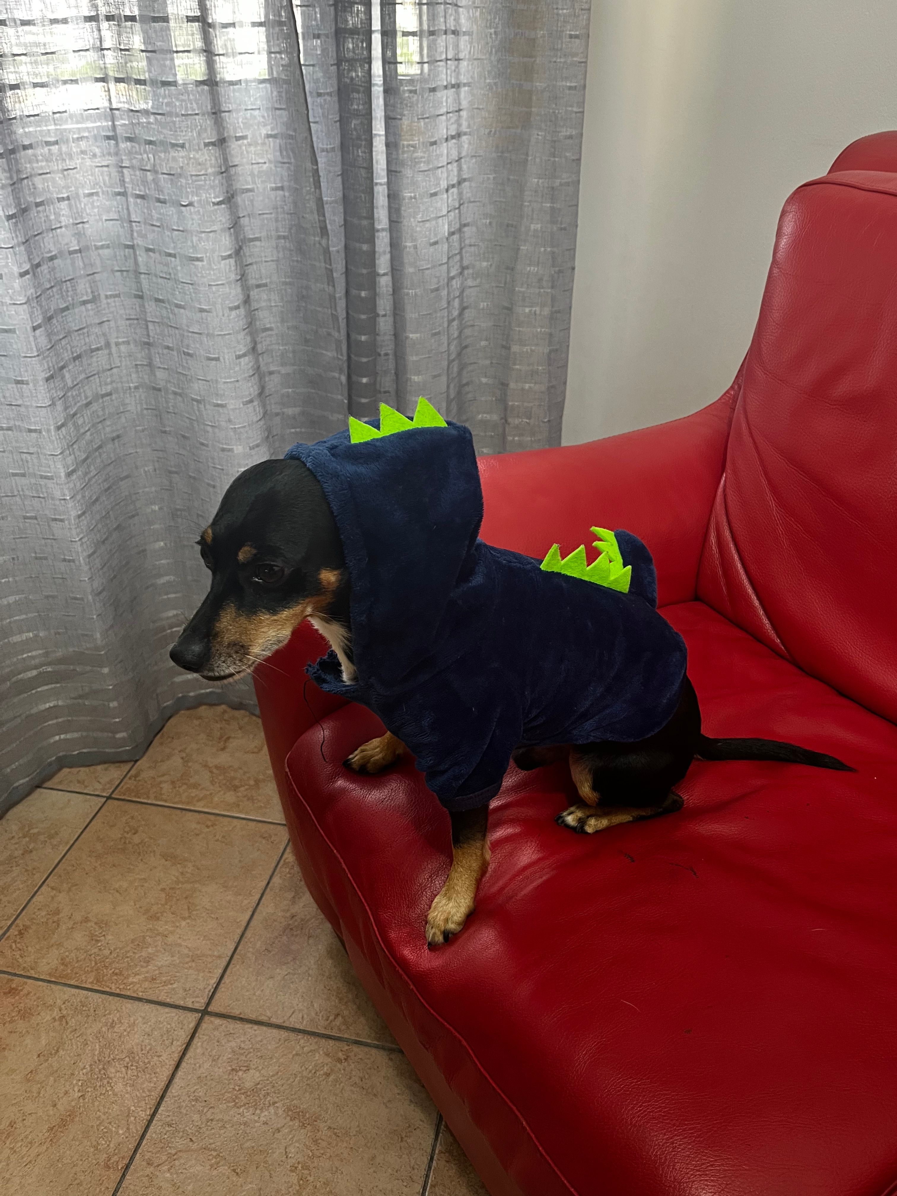 image-18