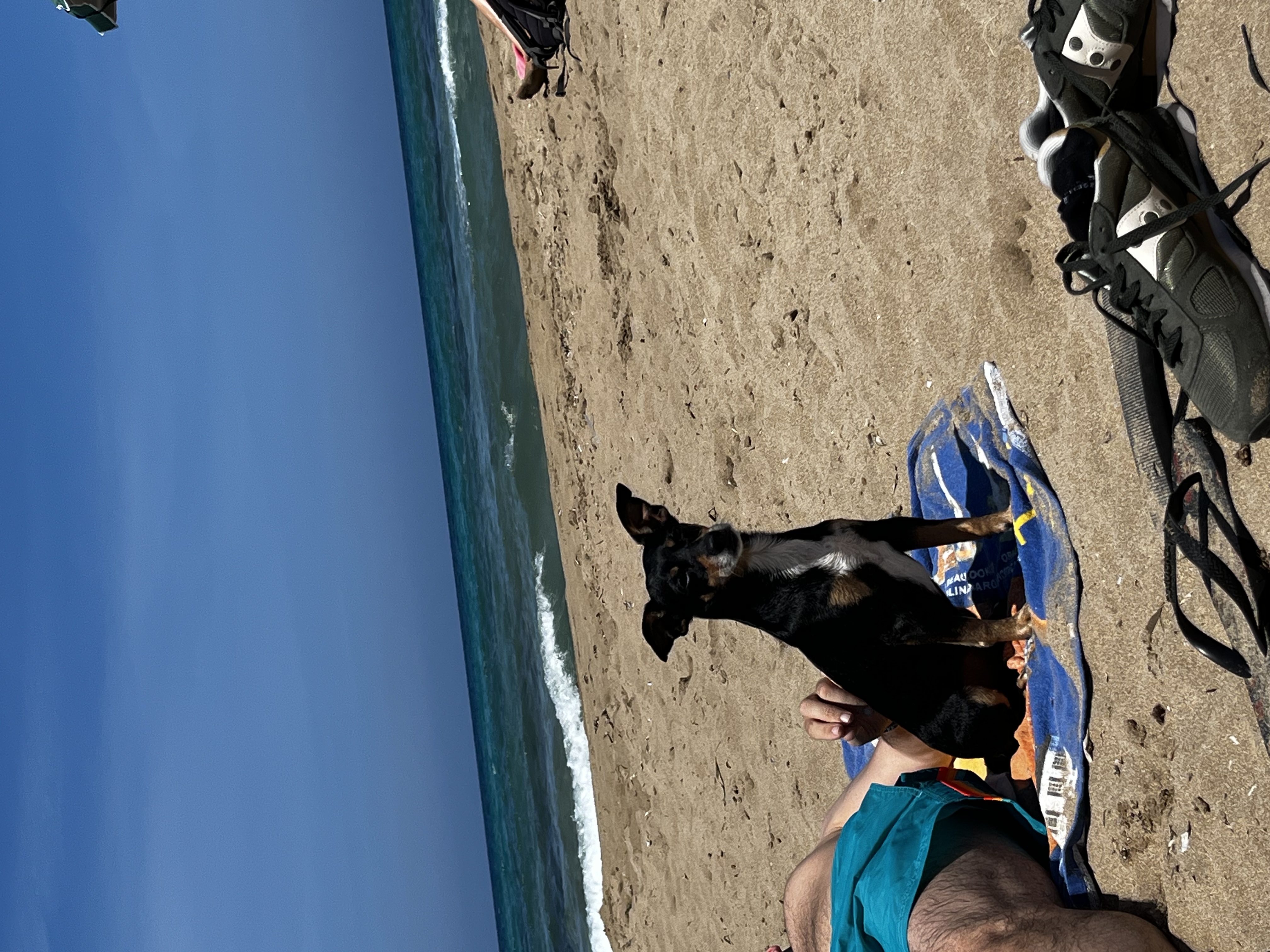 image-6