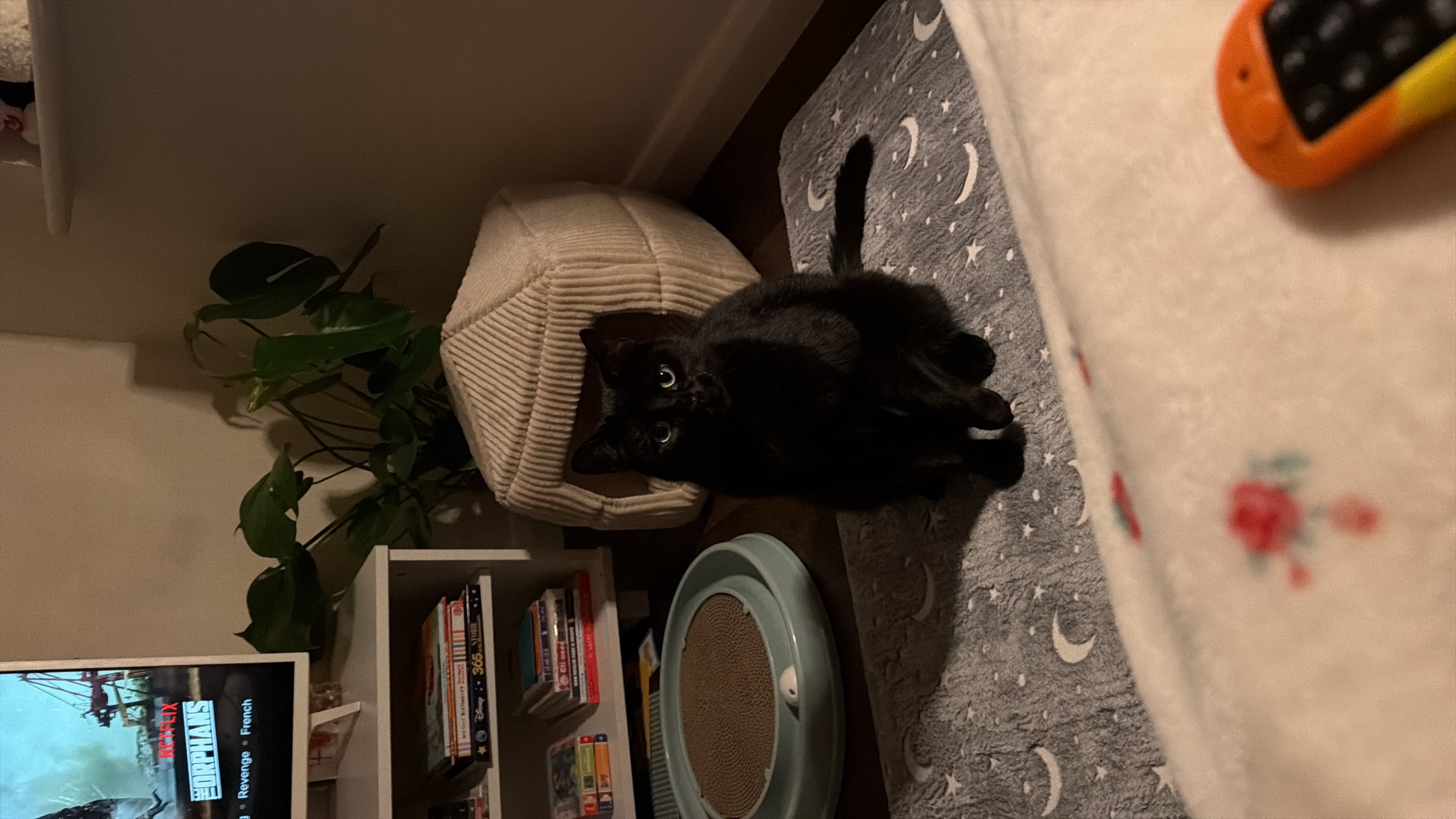 image-12