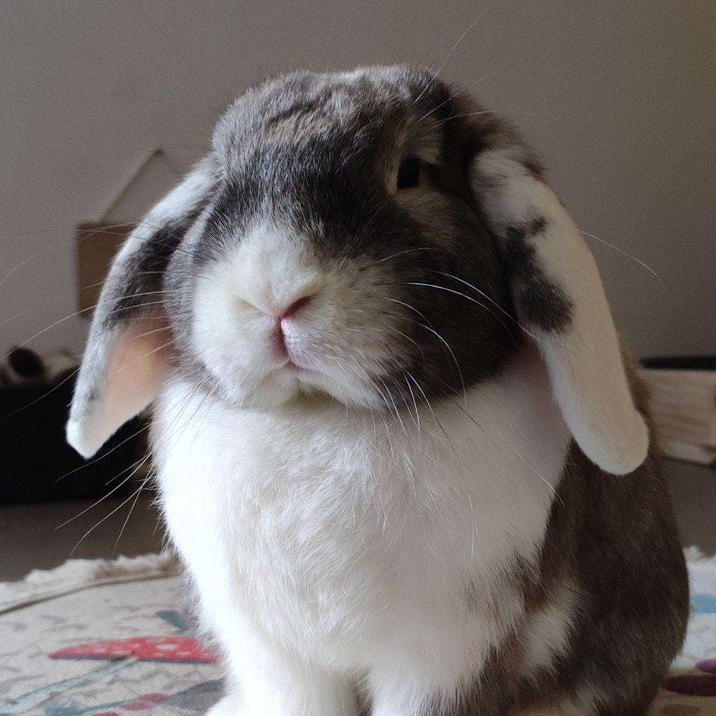 Lewis