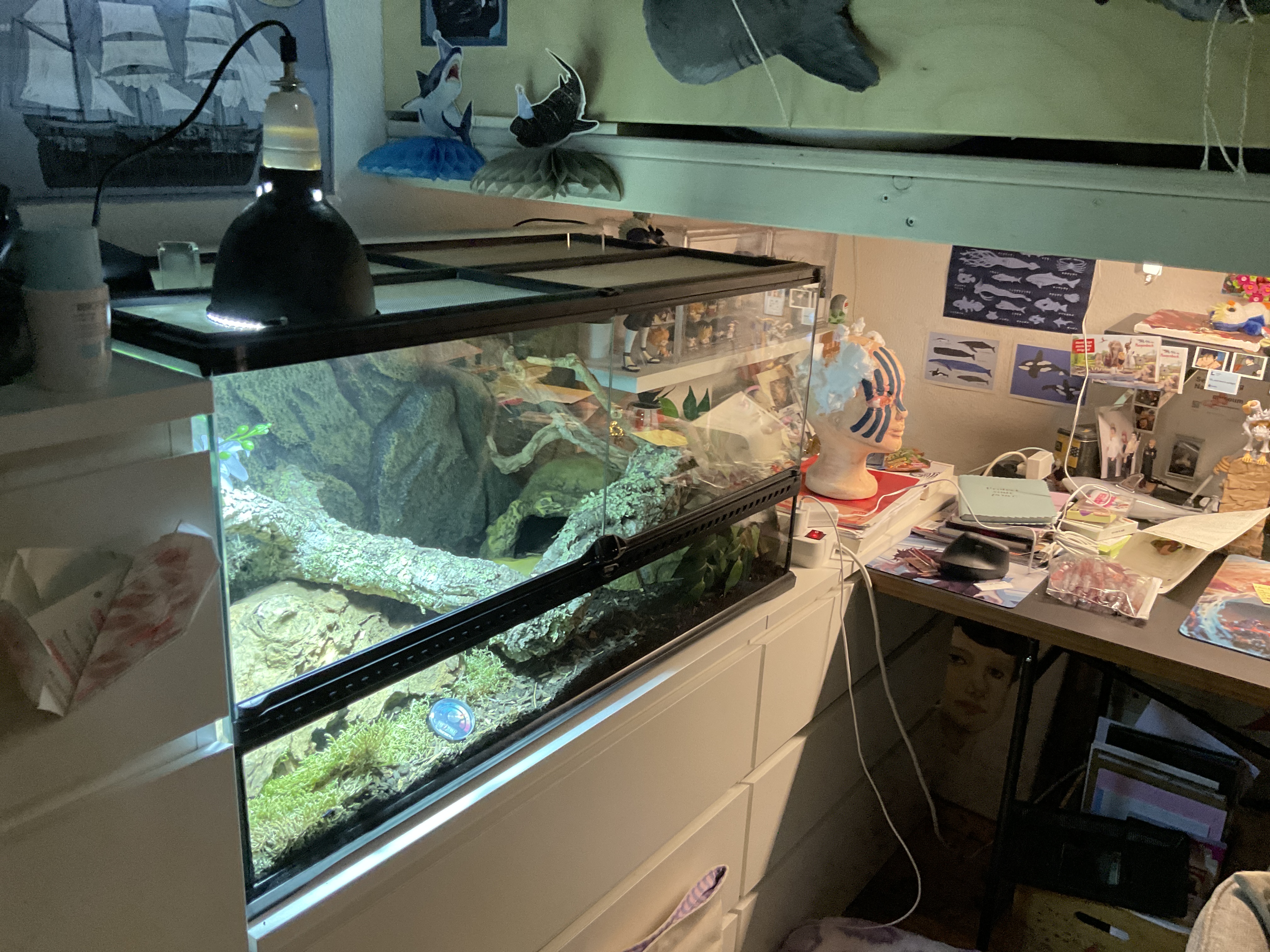 image-16