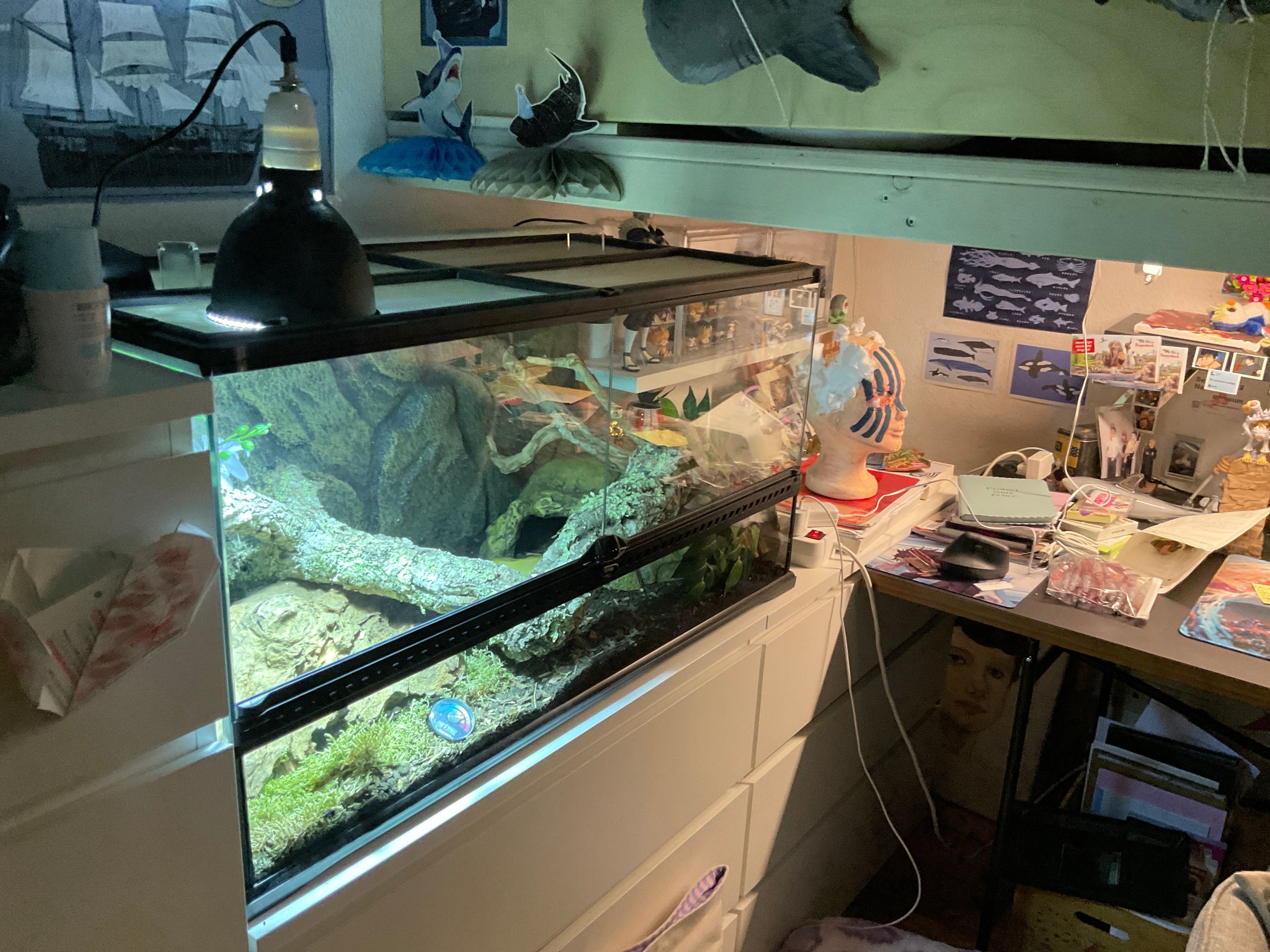 image-16