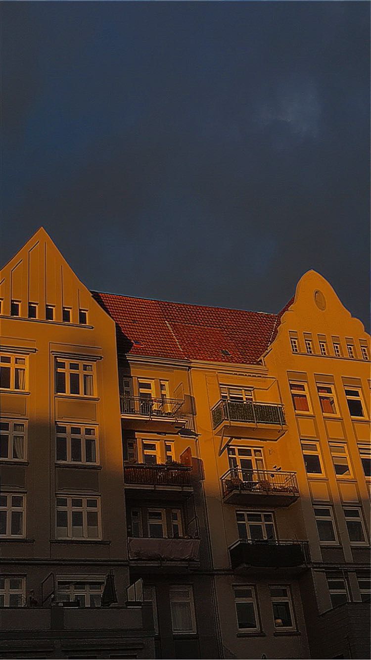 image-19