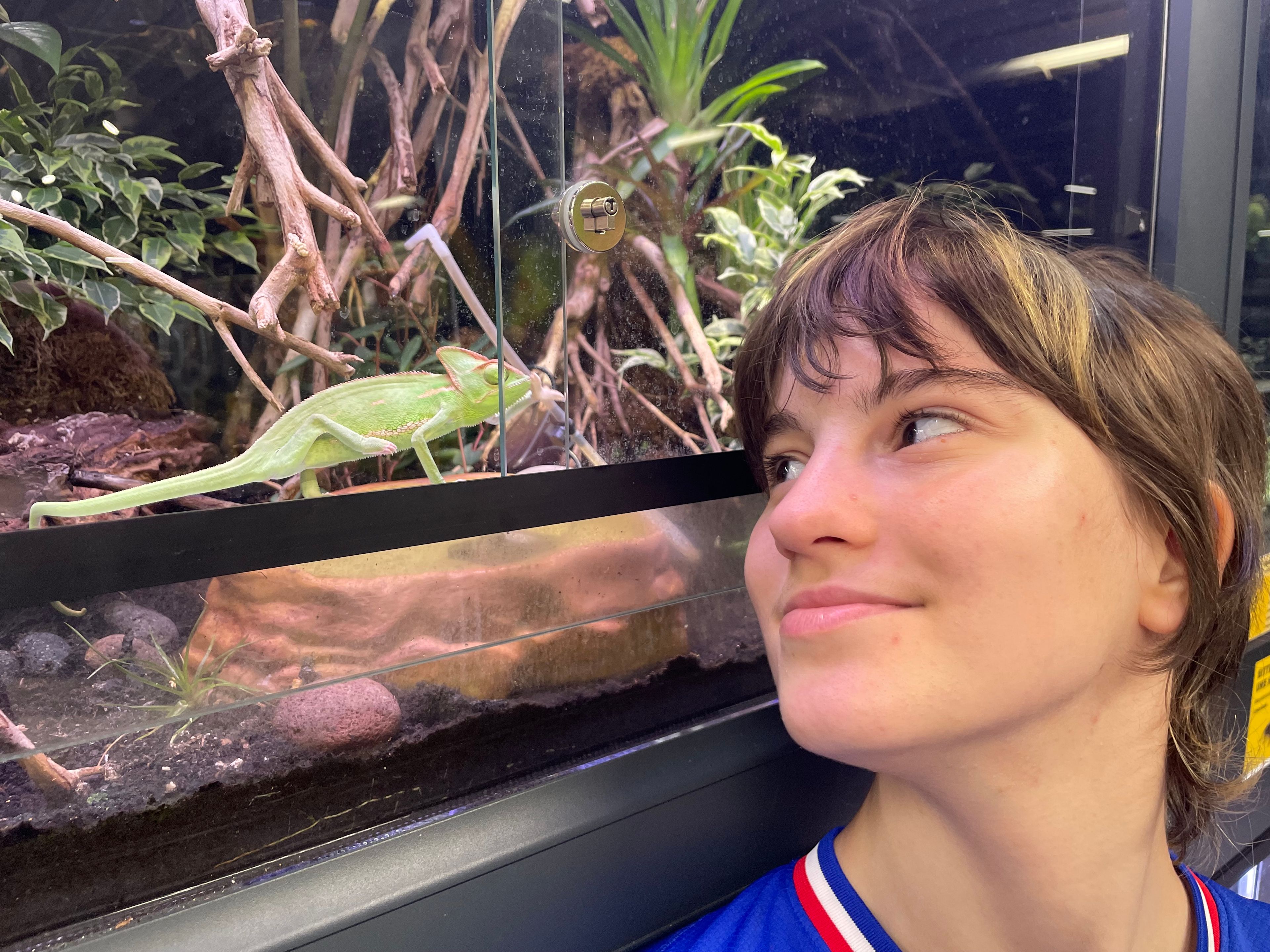 image-8