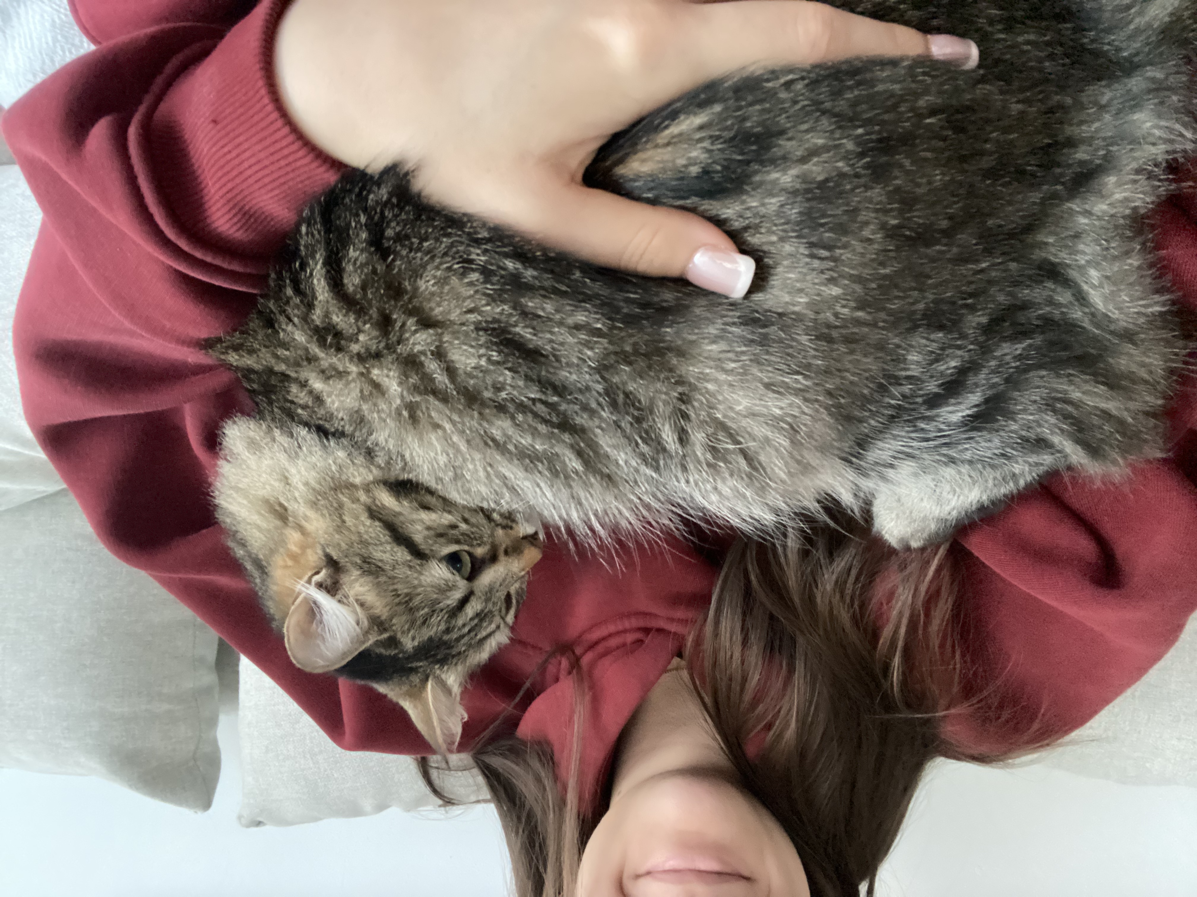 image-7