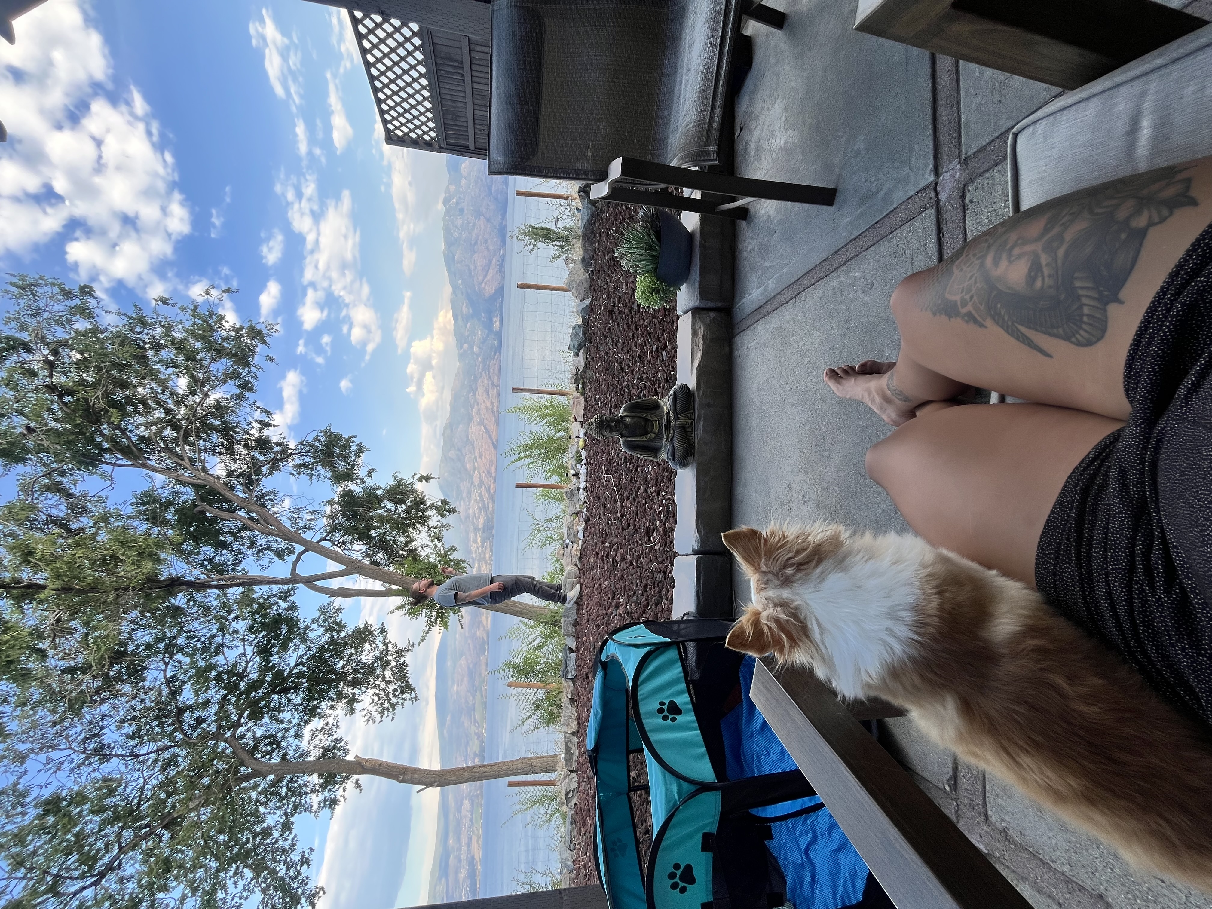 image-6