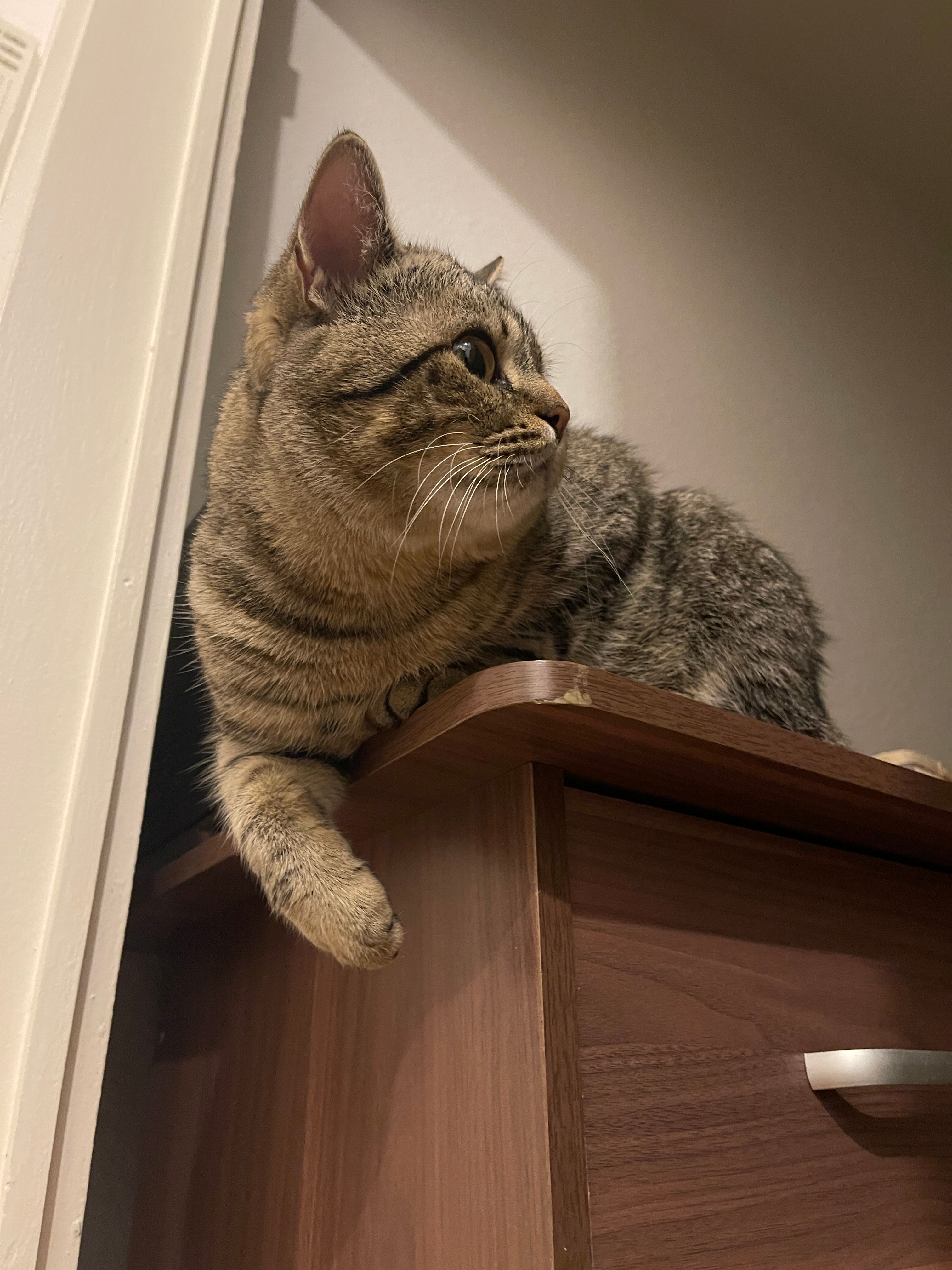 image-9