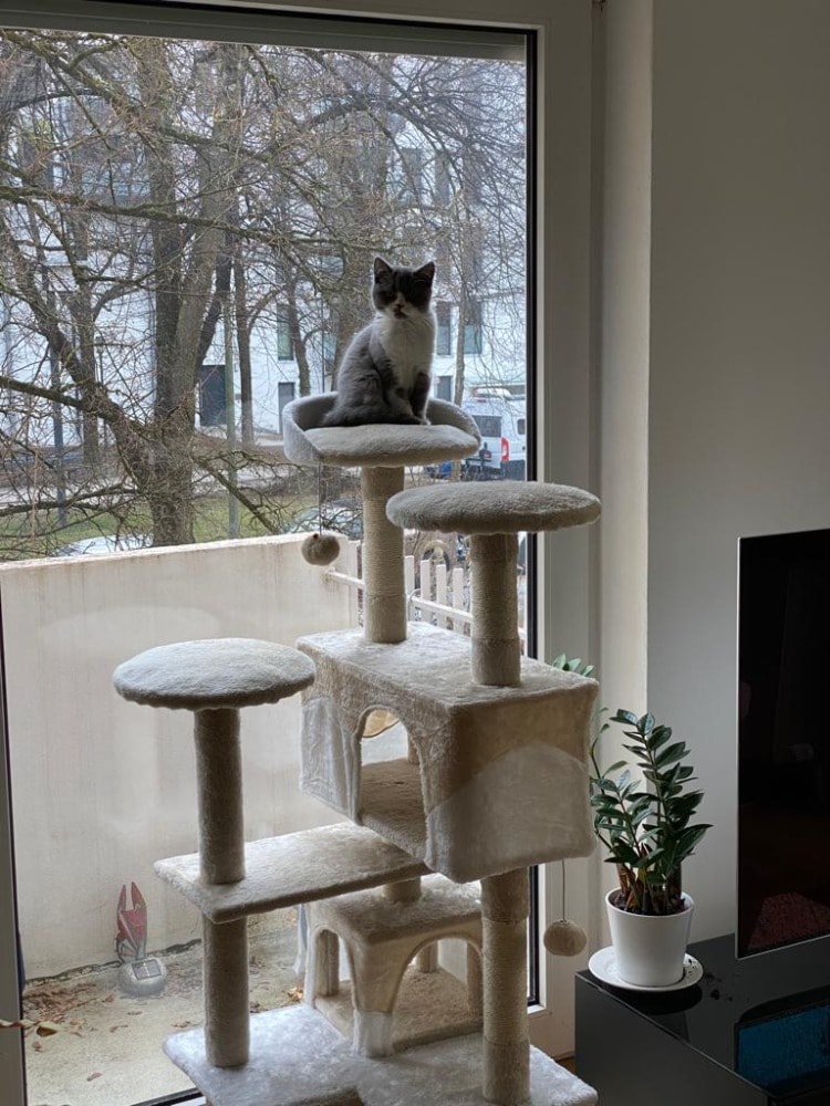 image-9