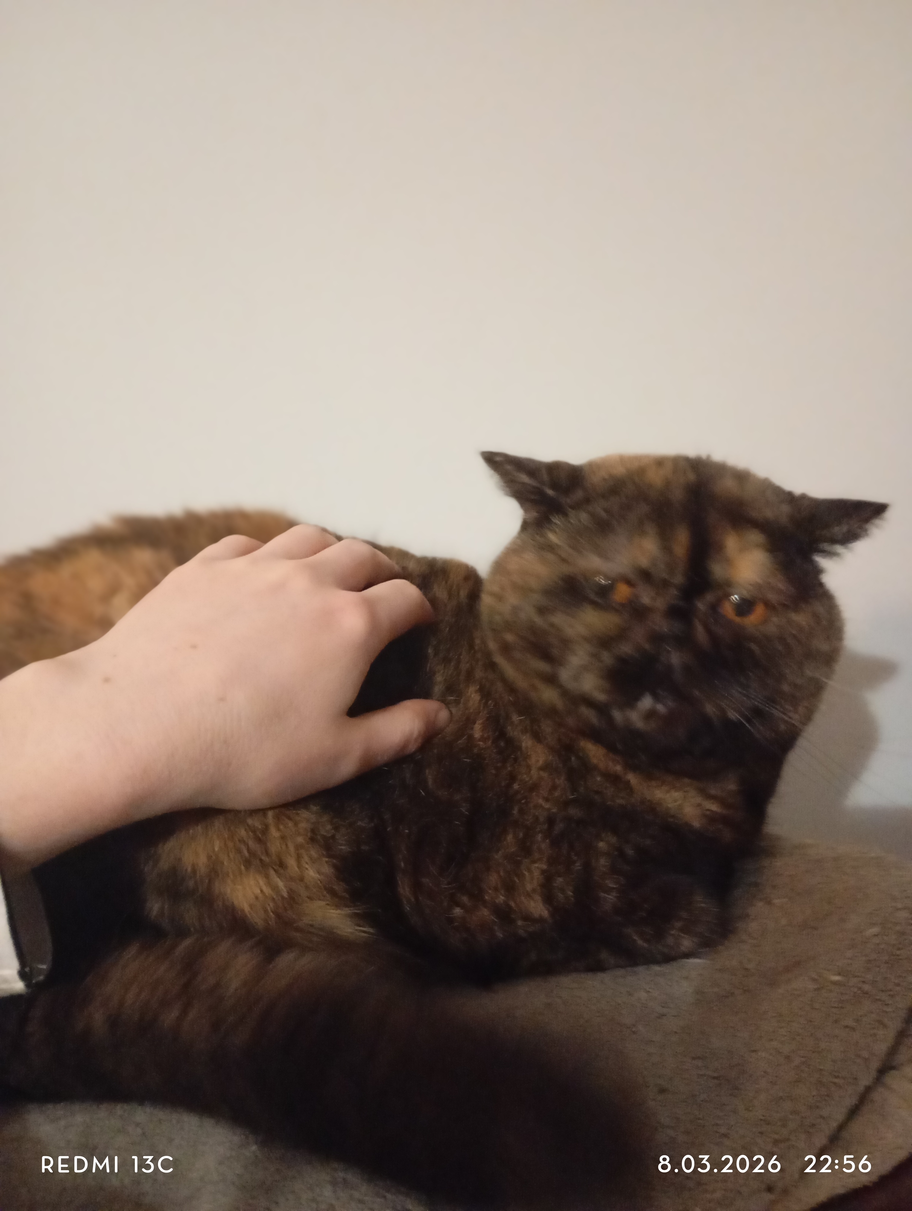 image-8