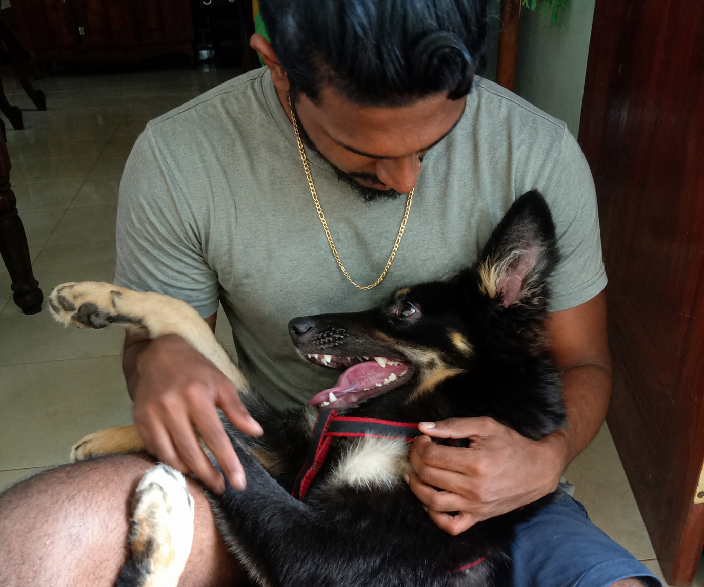 image-5