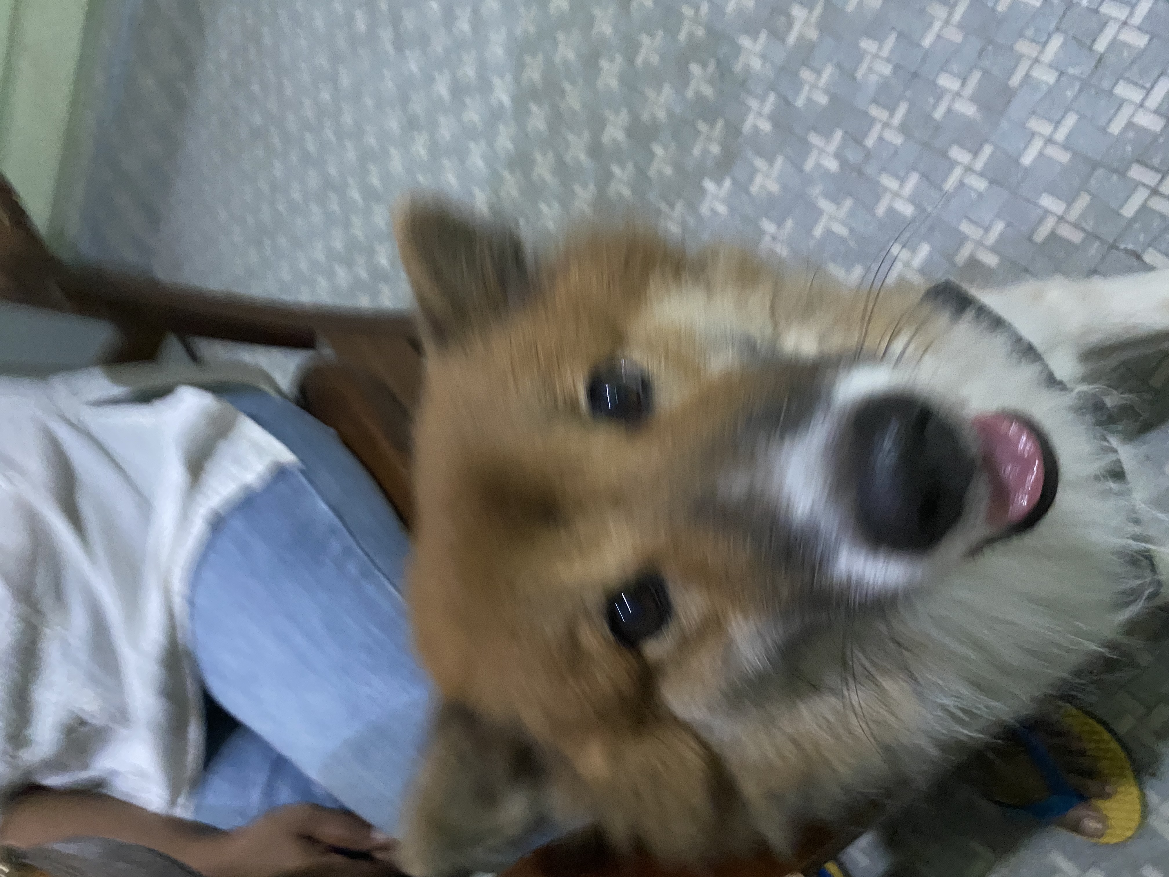 image-8