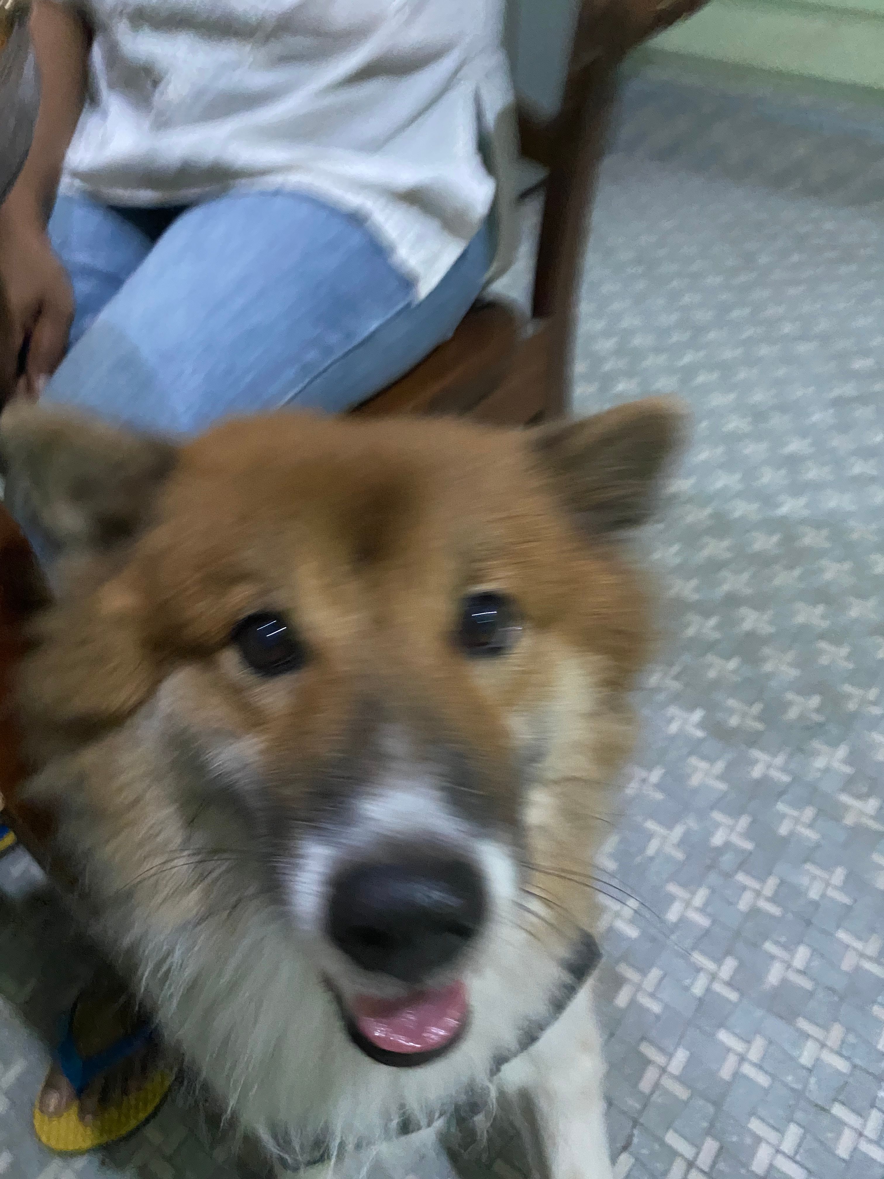 image-8