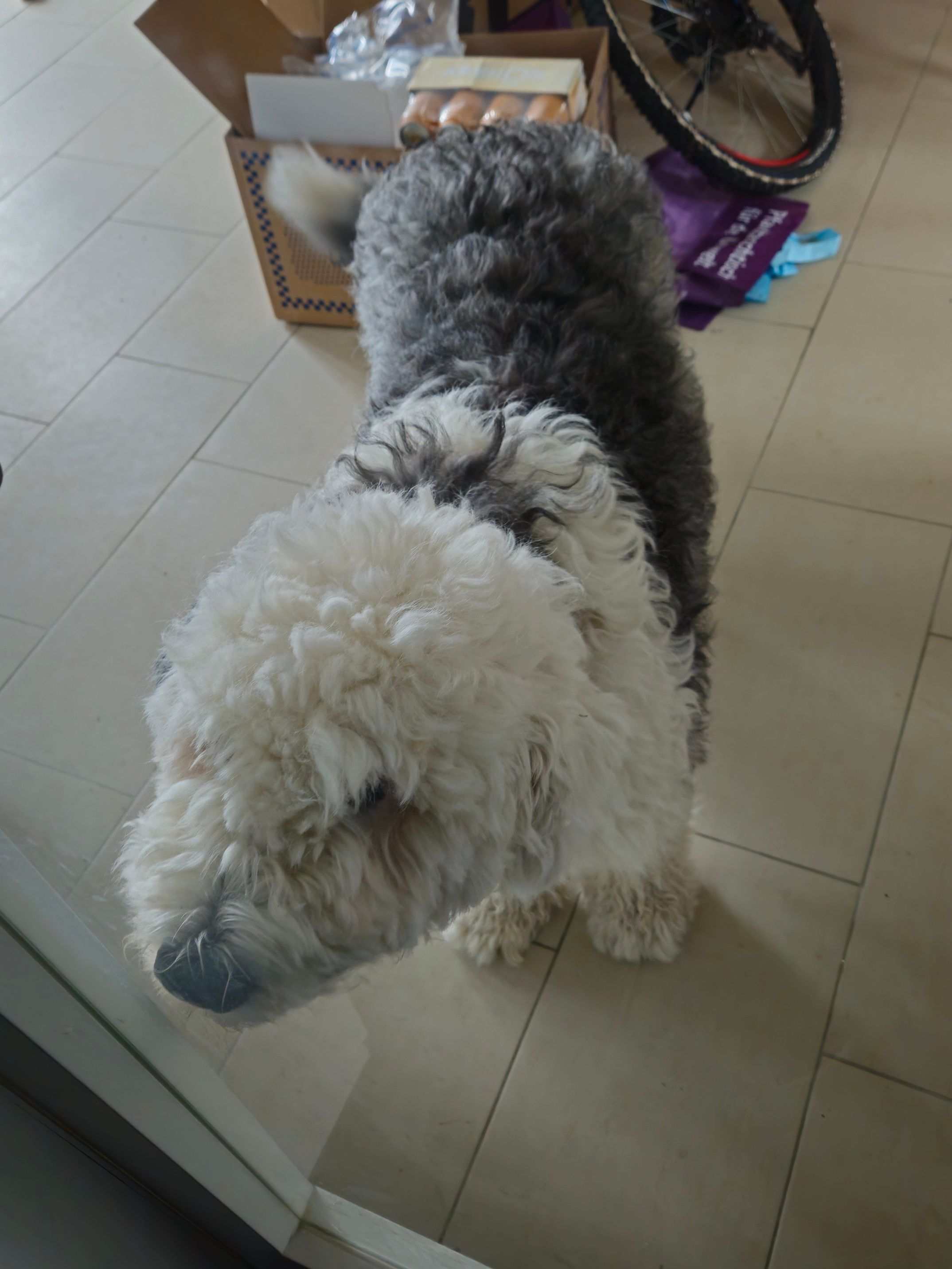 image-13