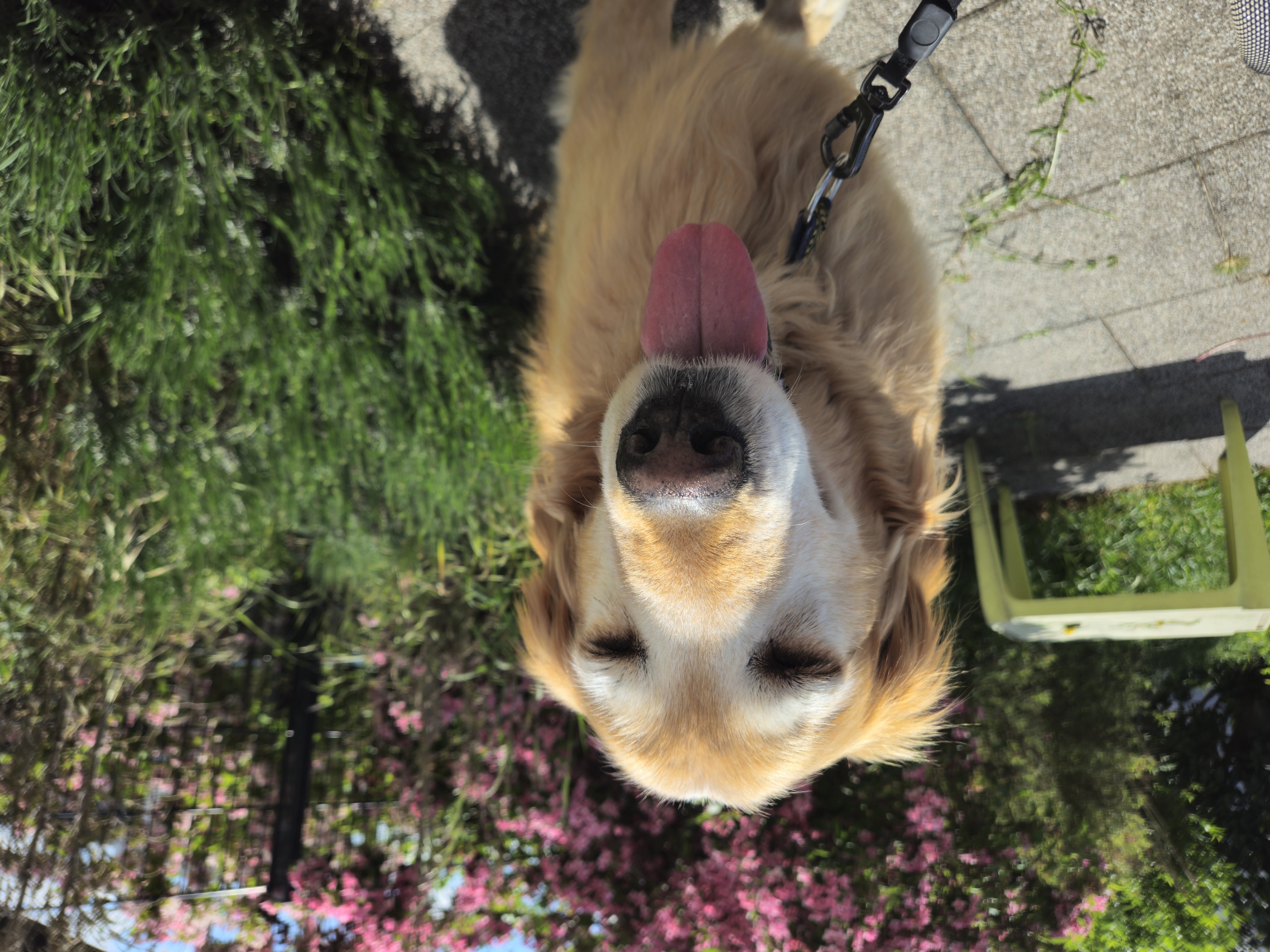 image-17