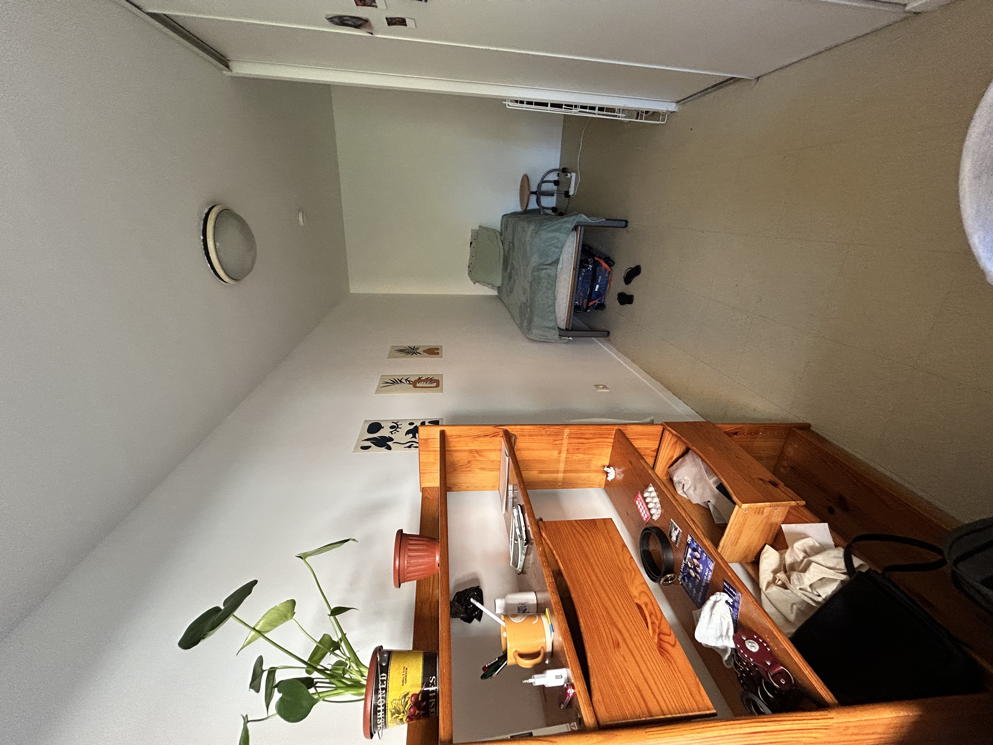 image-9