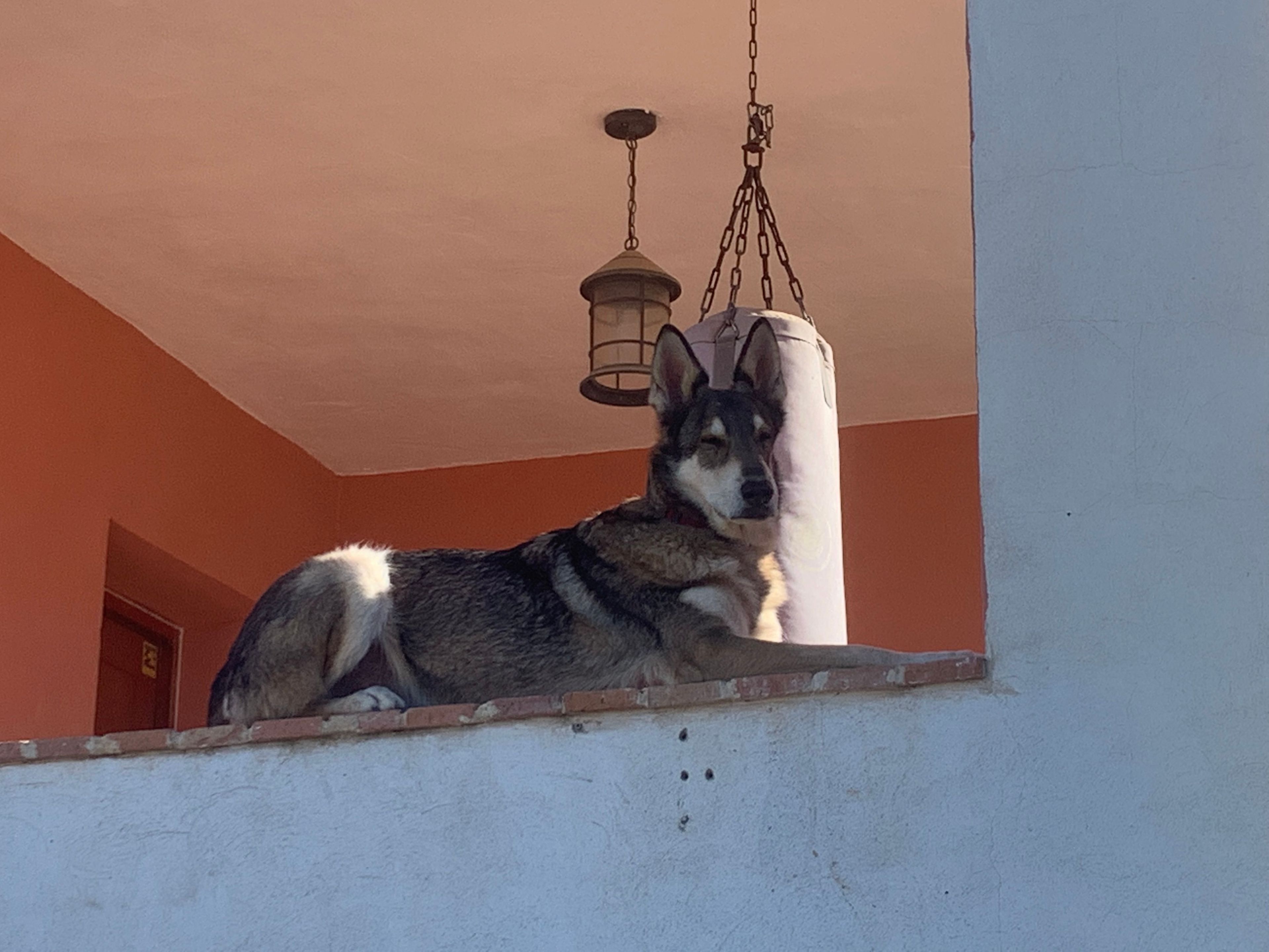 image-10