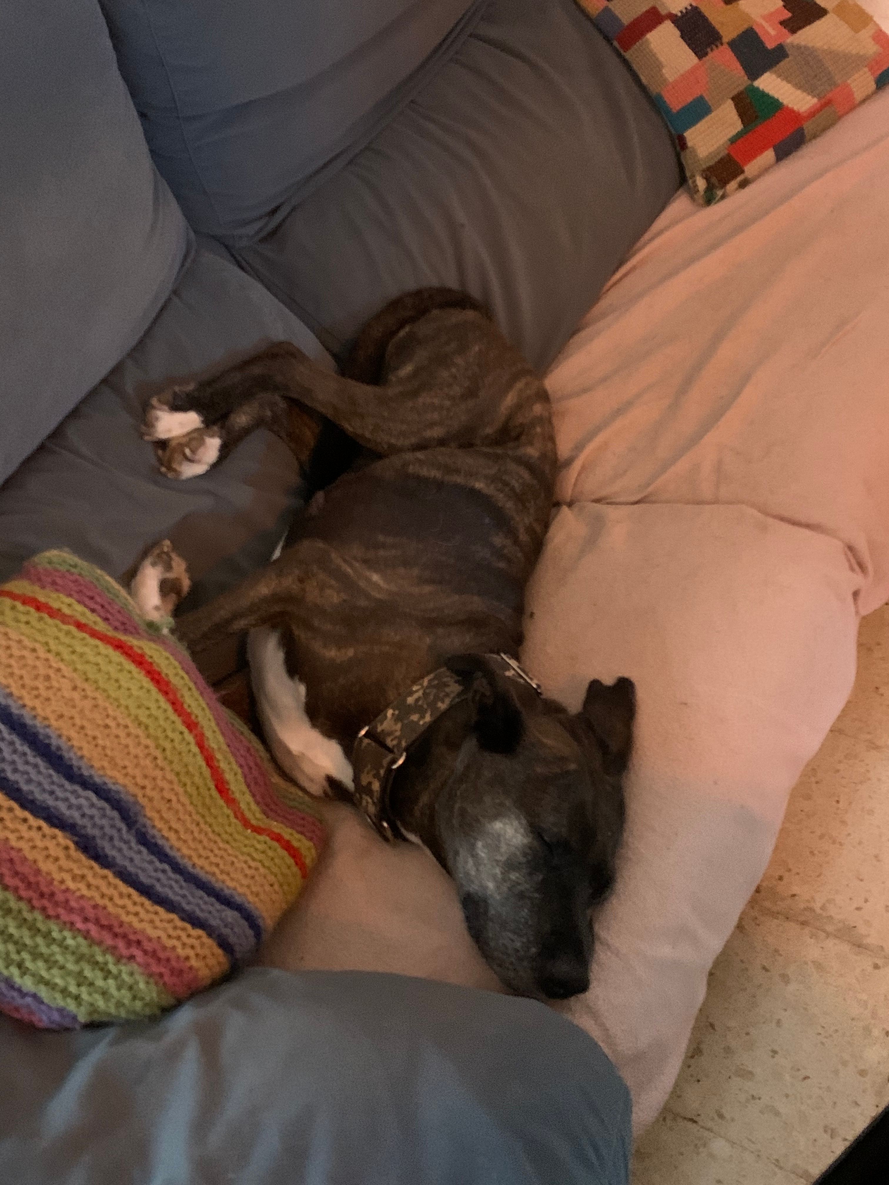 image-9
