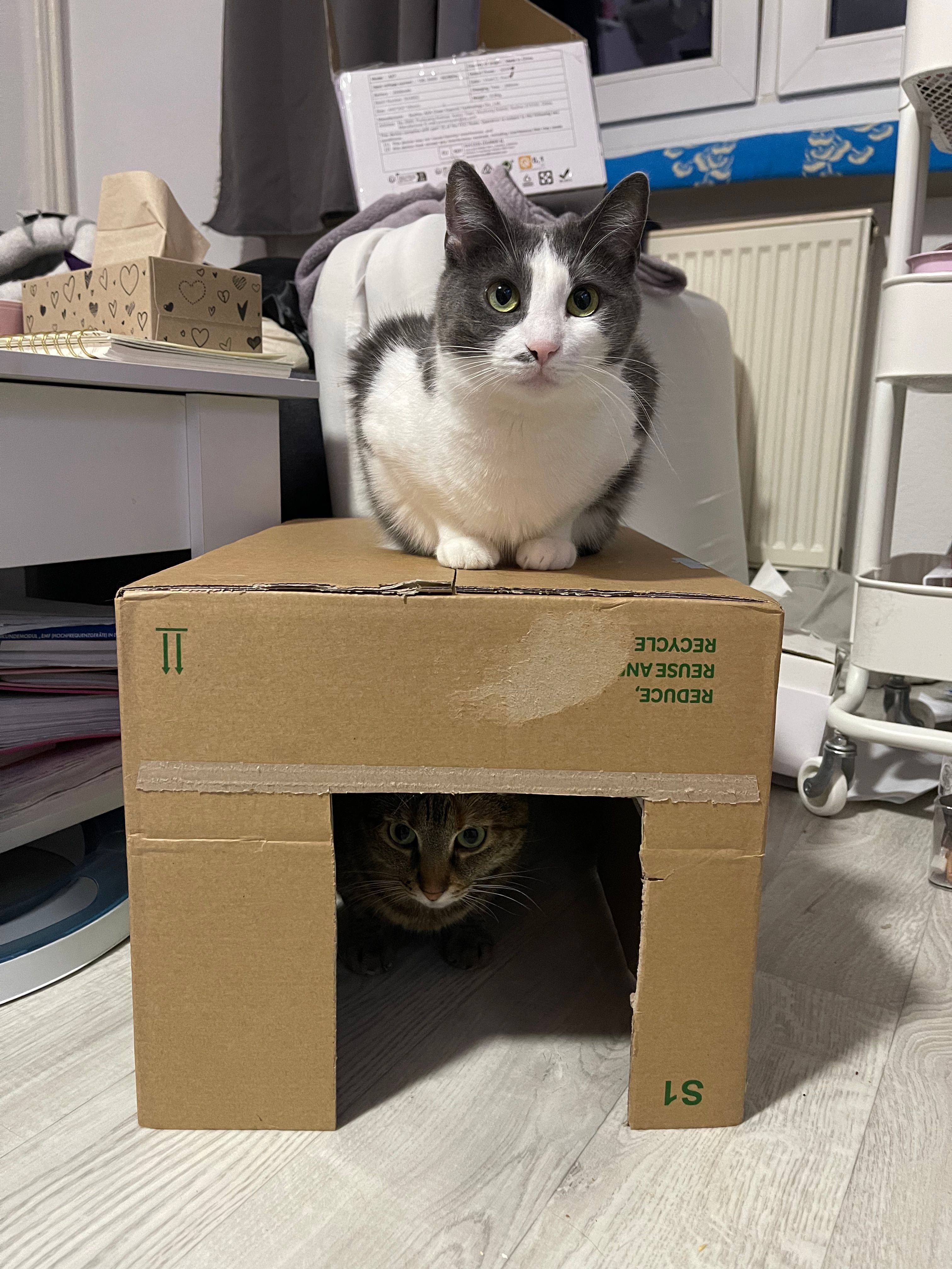 image-9