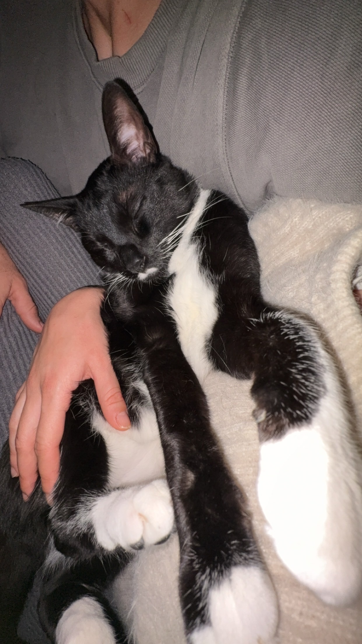 image-6