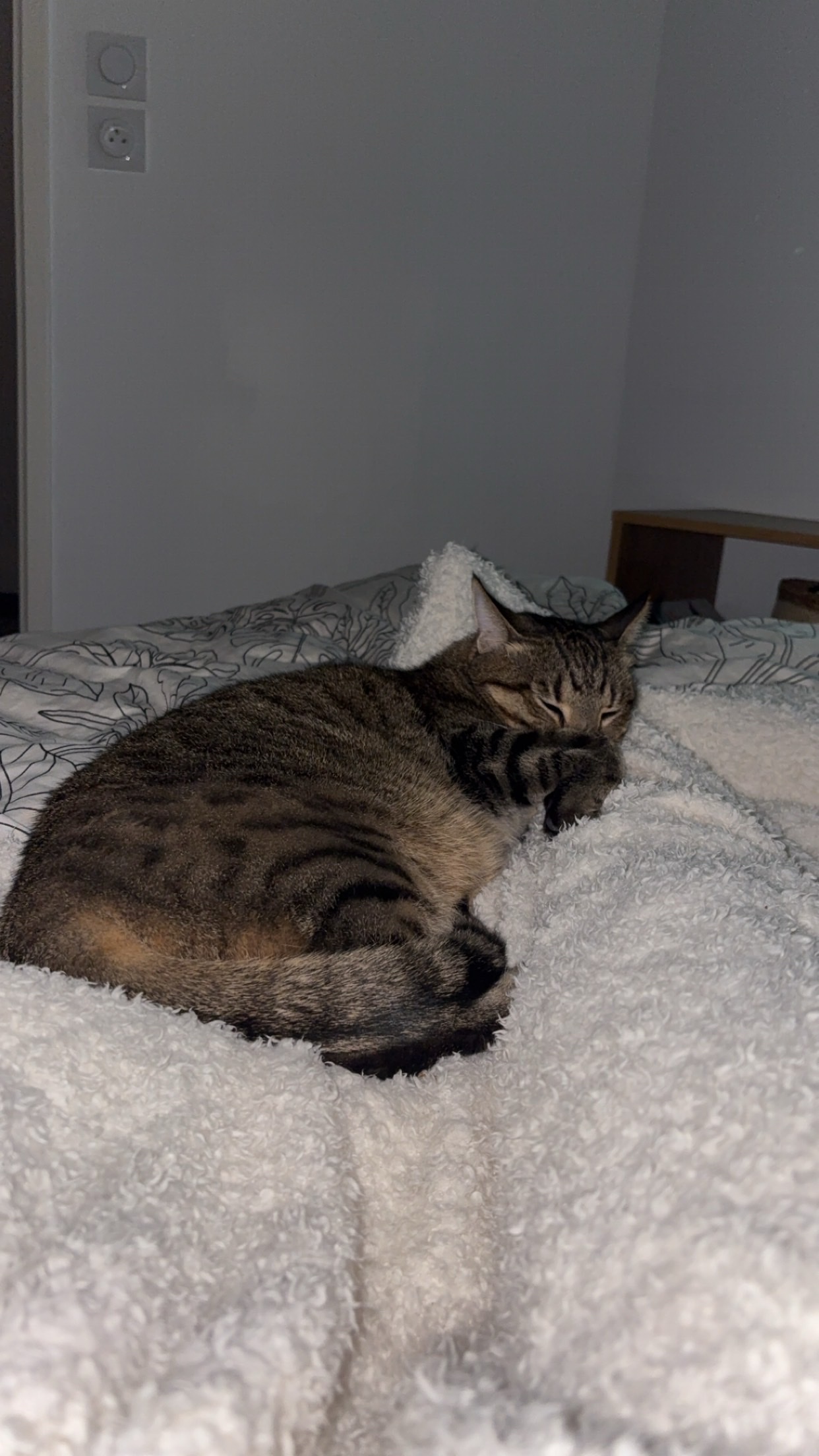 image-5
