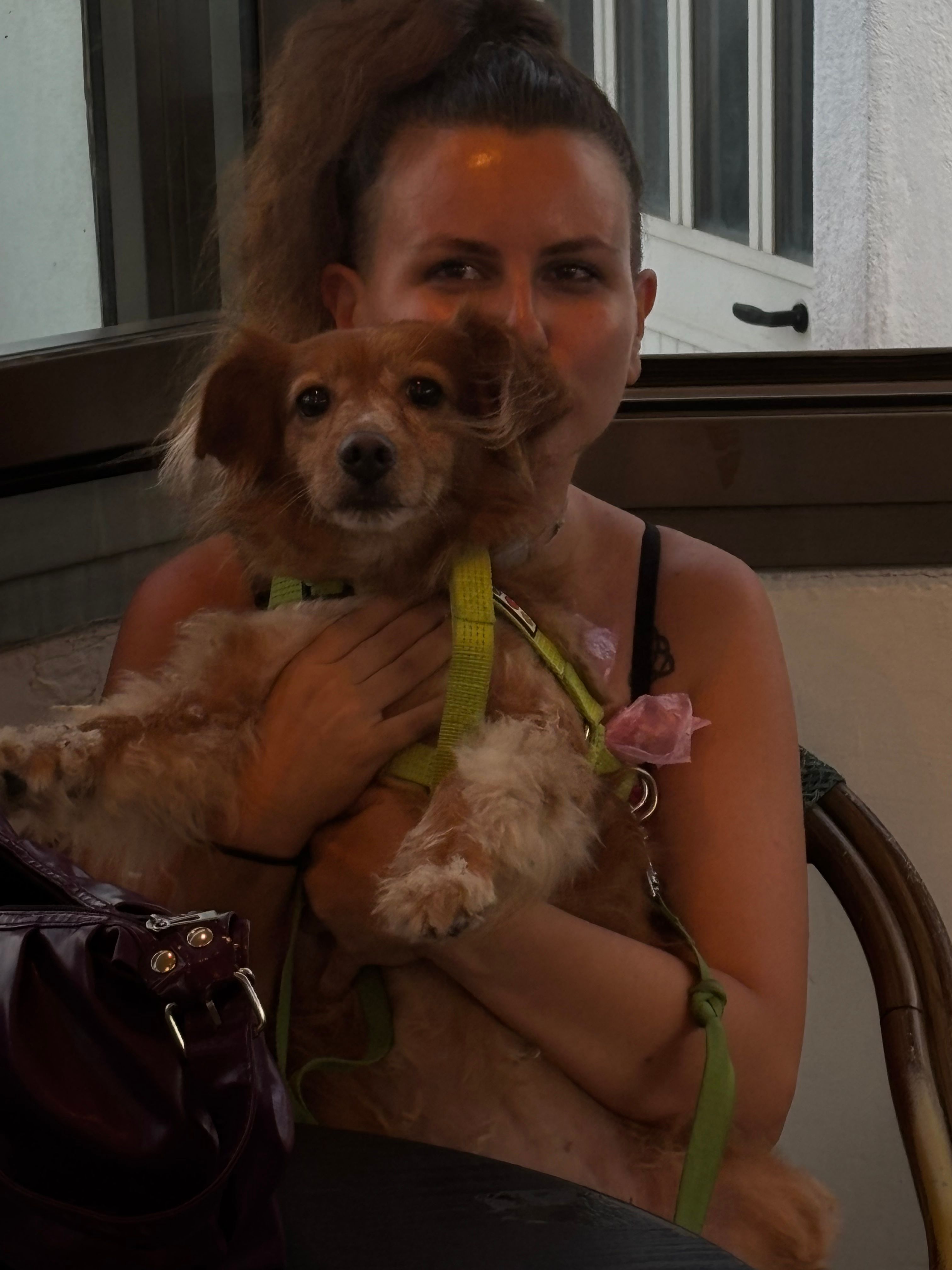 image-6