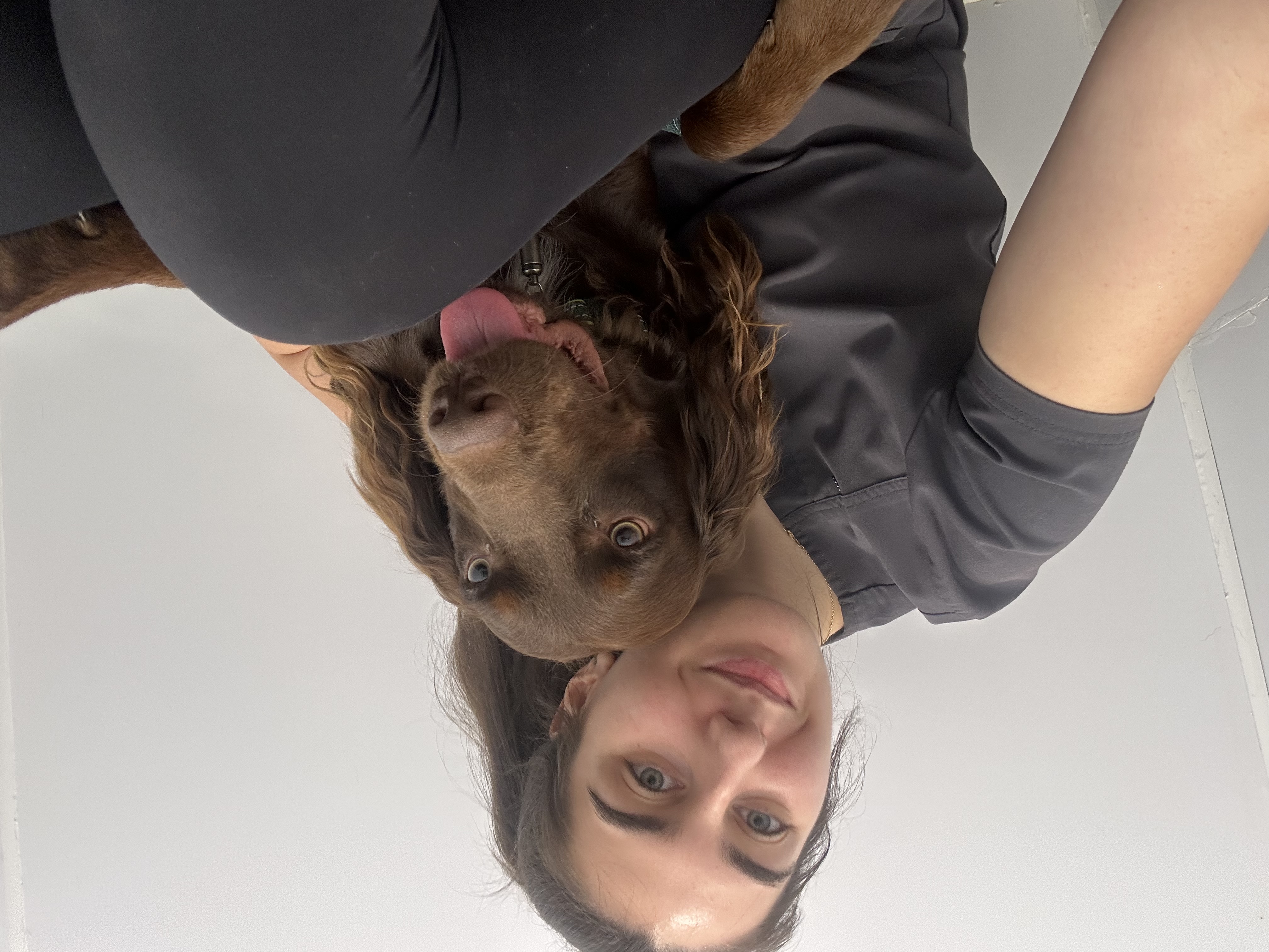 image-8
